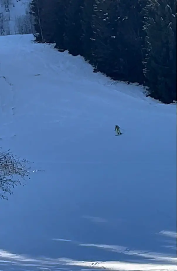 CEP HOSE Skitour
