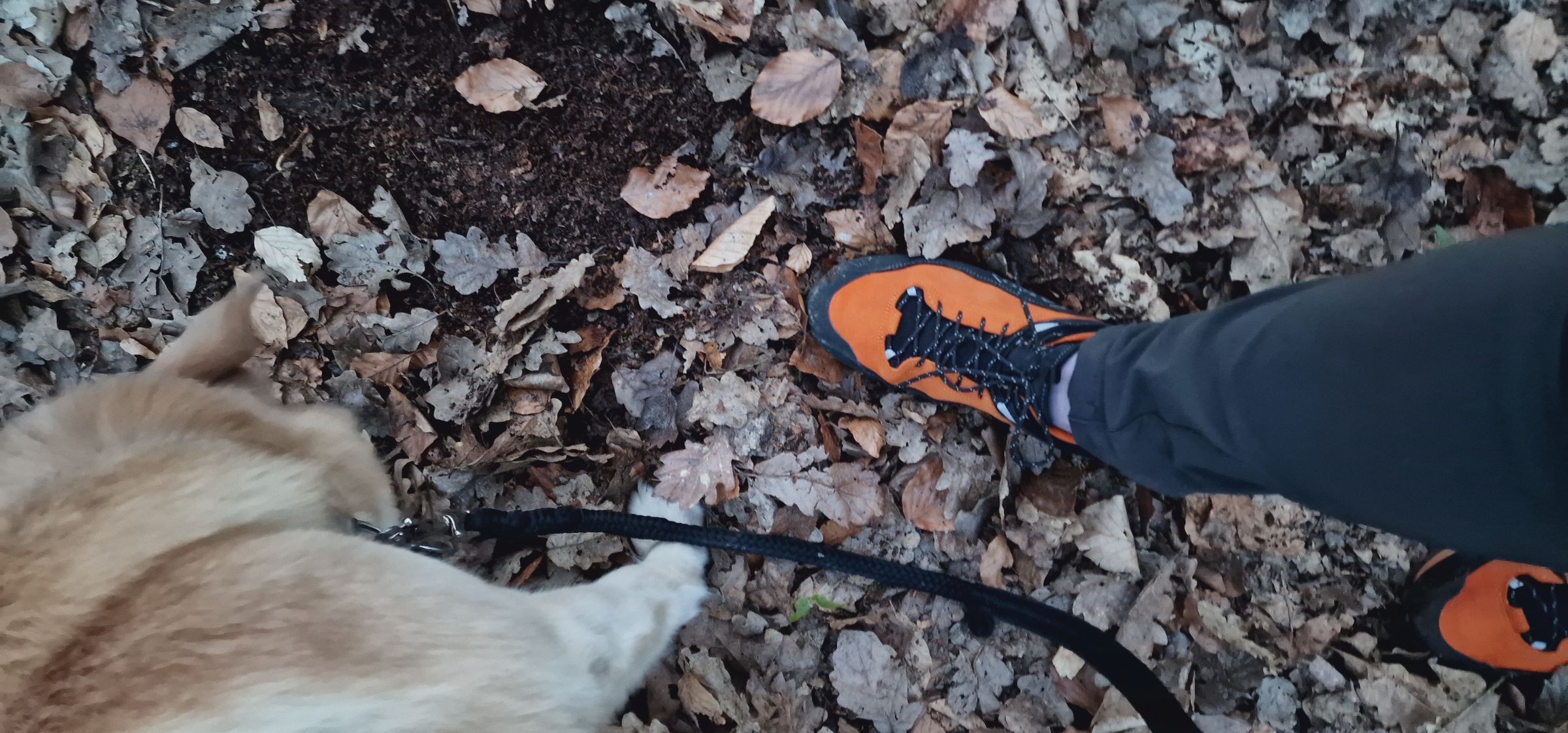 Wald und Feld. Regen und Matsch. Steine und Wurzeln, alle die Wege sind wir gelaufen.