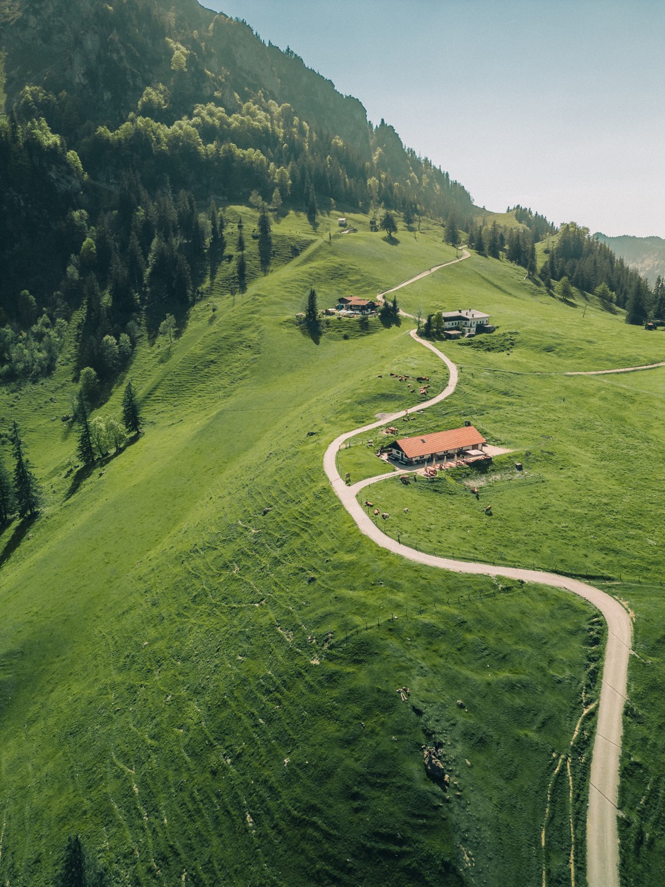 Hochkantfoto einer Alm in Bayern mit Gegenlicht.