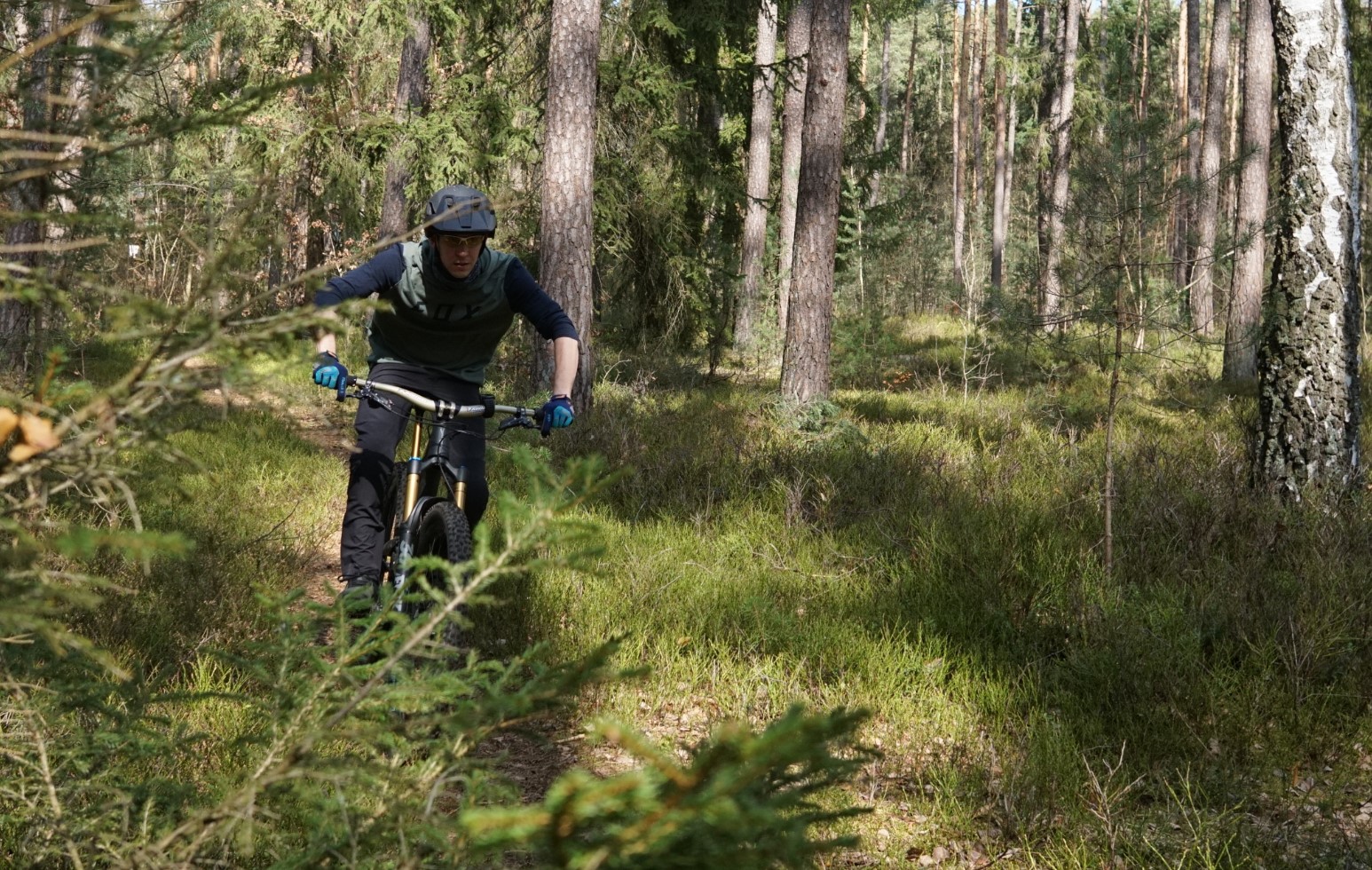 auf dem Trail