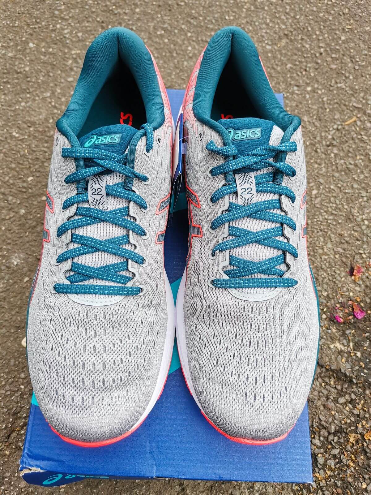 Asics Gel Cumulus 22_22