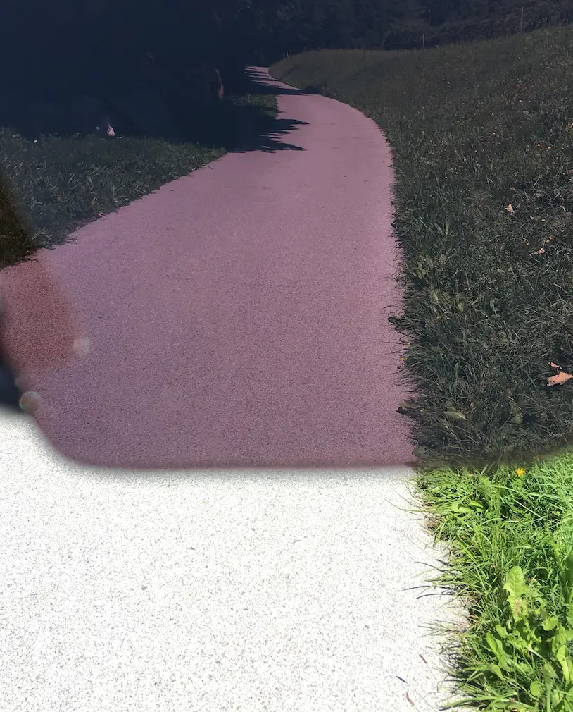 Prizm Test Vergleich