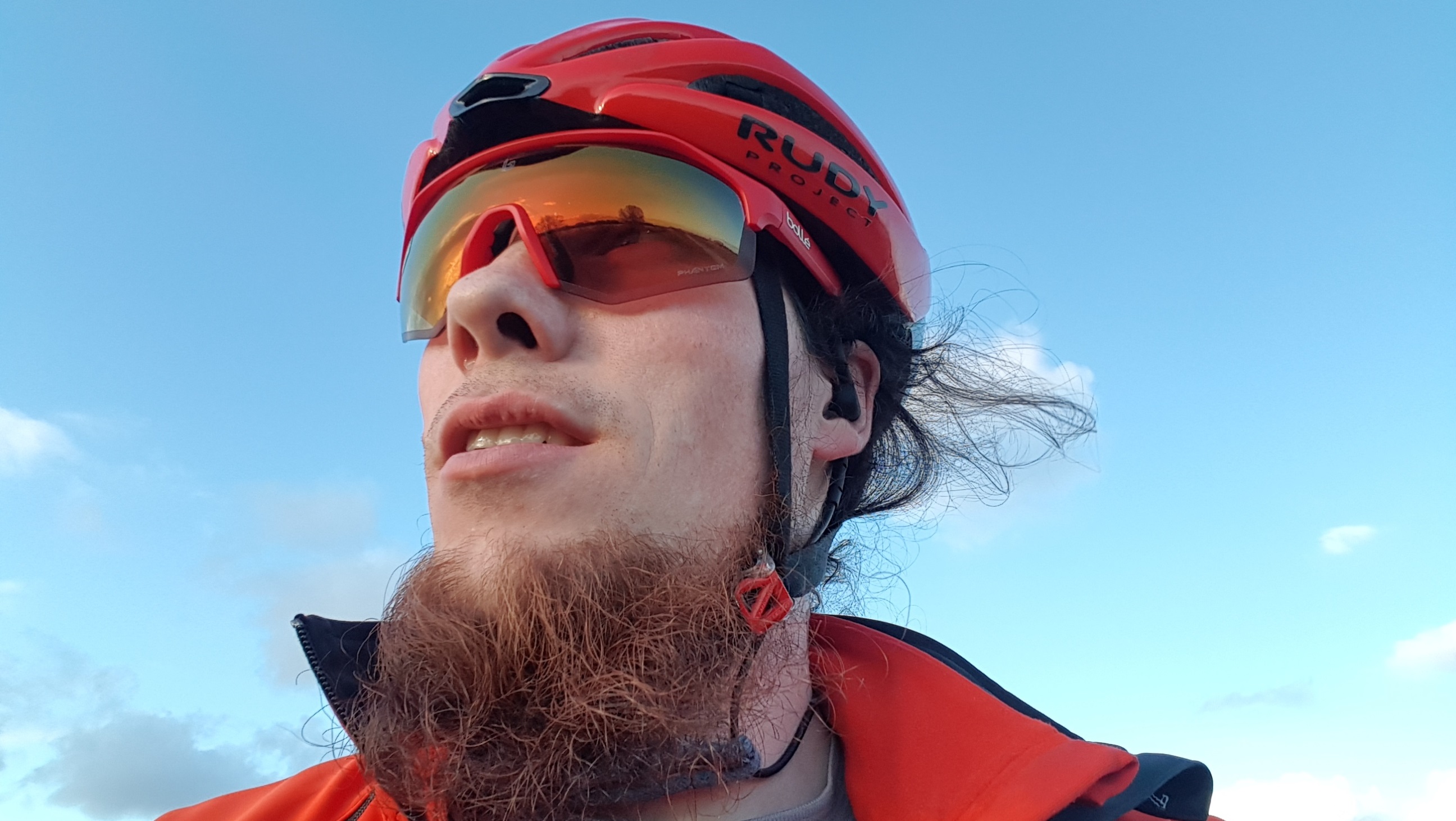 Am Deich im Wind