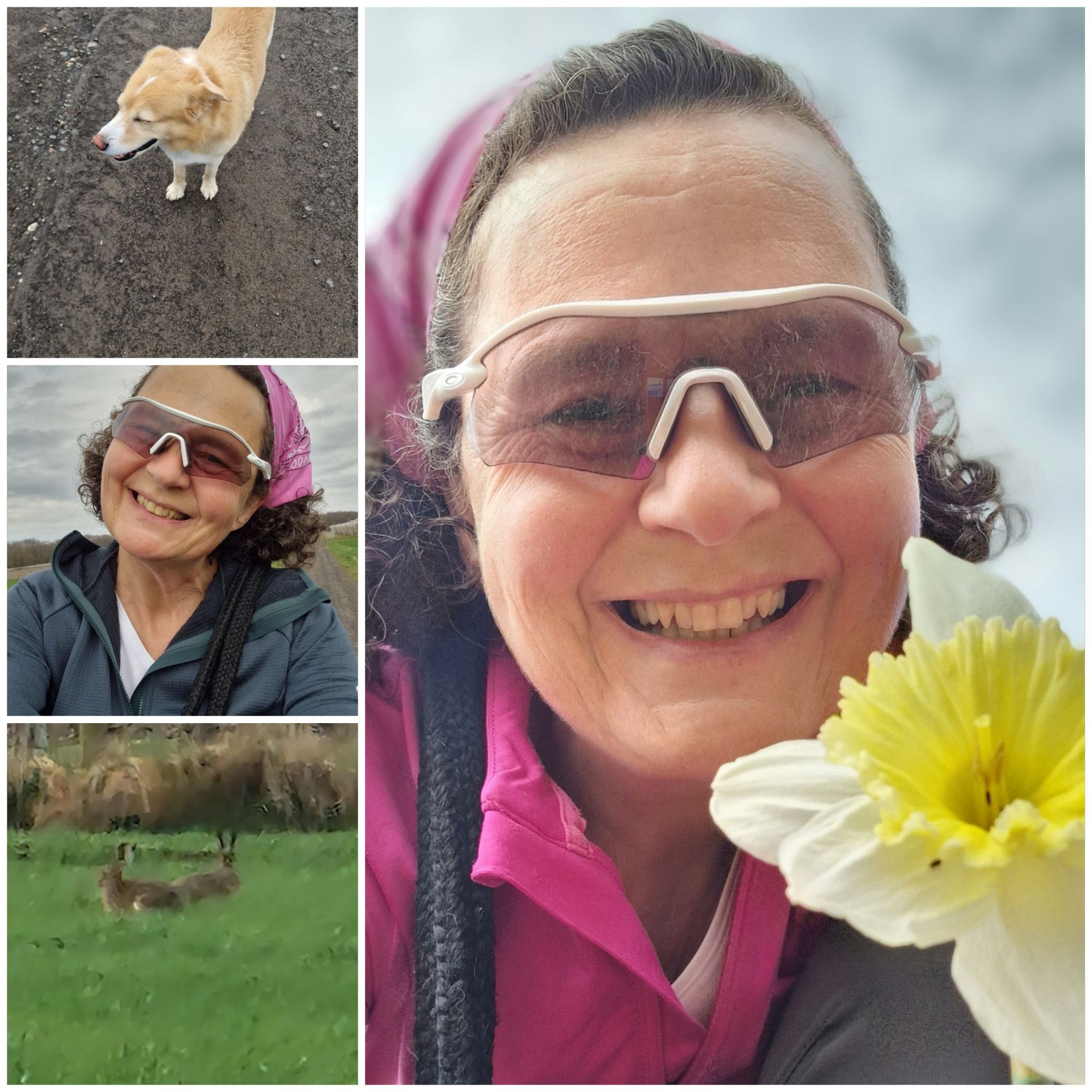 Ab März fliegen die Pollen und reizen die Augen,. Die Radar Plate erziehl einen positiven Effekt, da sie nachhaltig die Pollen fernhält!