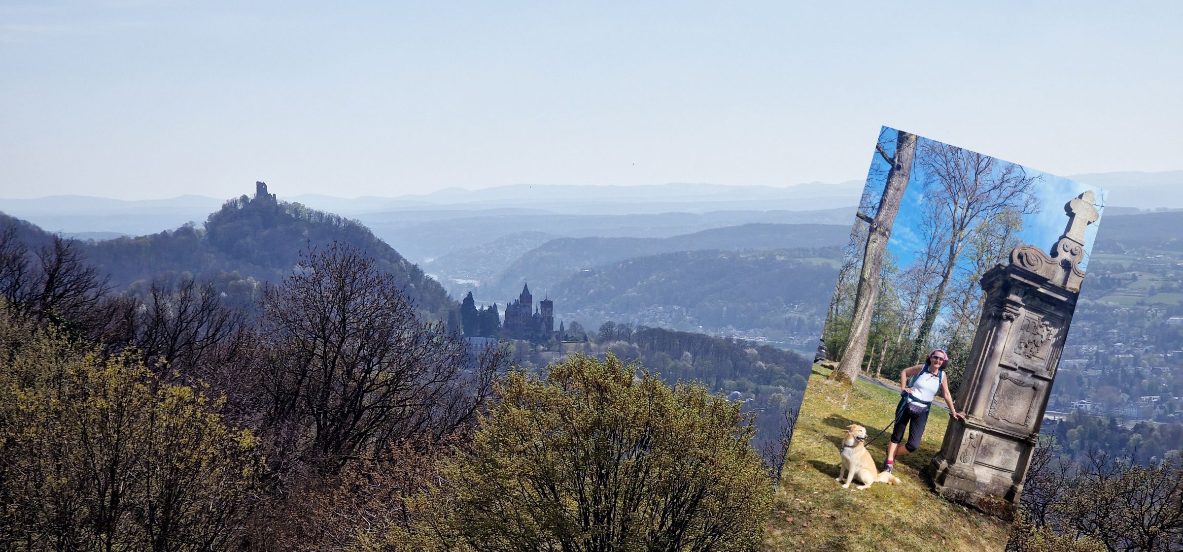 Beim Wandern im Siebengebirge kommt man auf steilen Wegen ganz schön ins Schwitzen. 