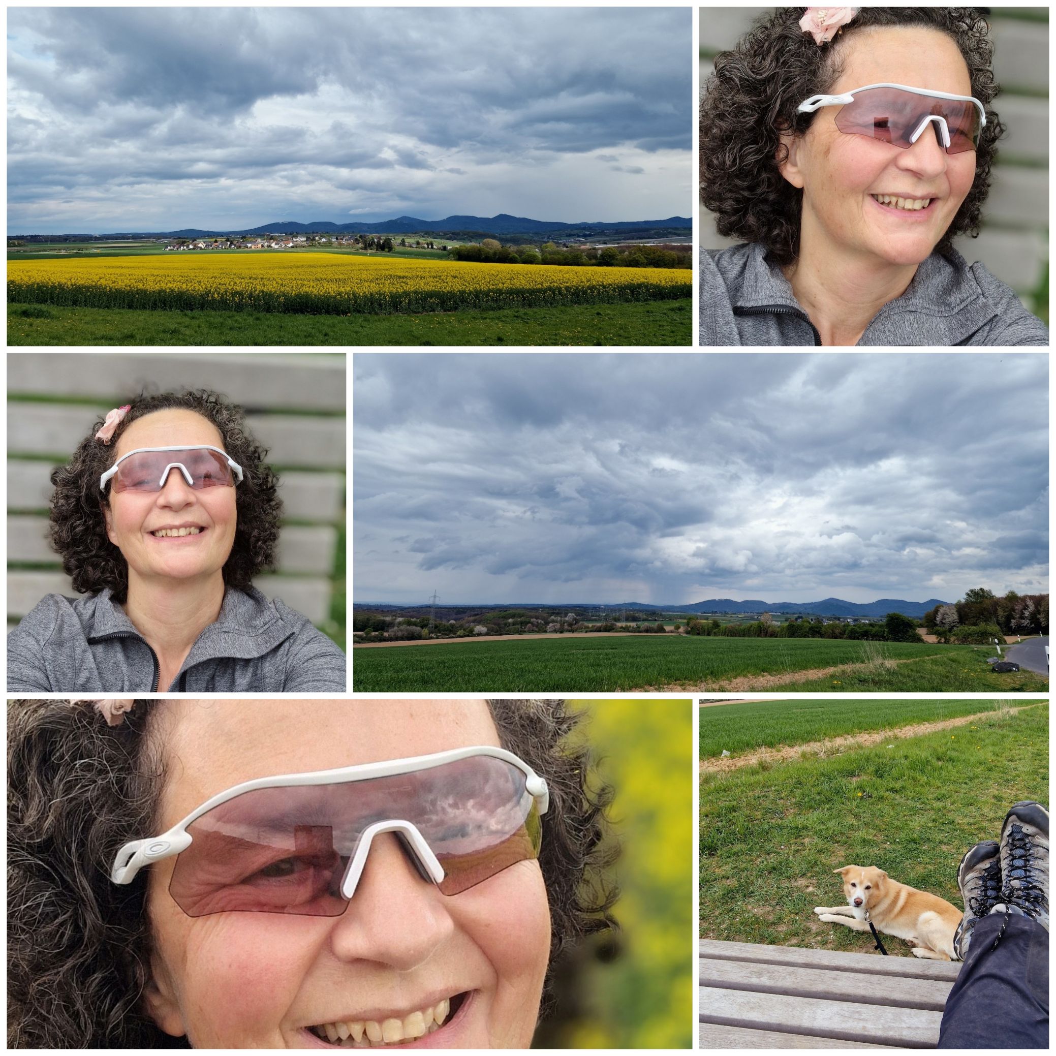Bei bedektem Himmer ist eine dunkel getönte Sonnenbrille meistens viel zu dunkel! Die Radar Pkate von Oakley hat die richtige Töne, wenn die Sonne sich mal nicht blicken lässt.