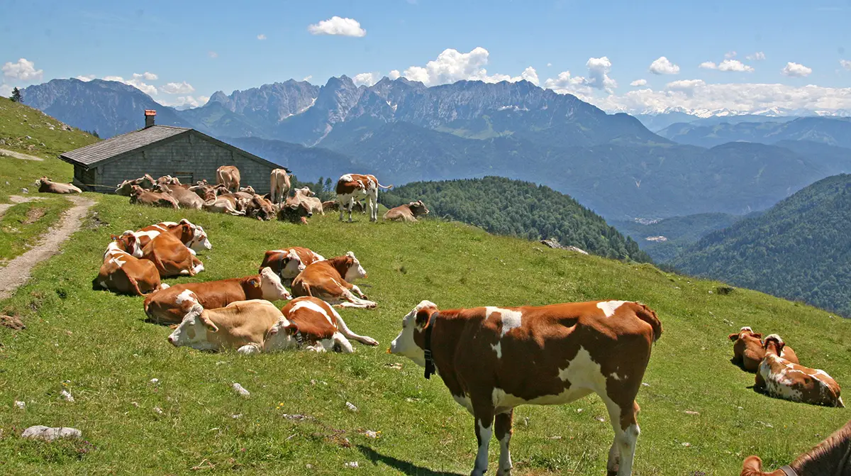 Der OUTSIDEstories-Unterwegstipp: Wandern um Oberaudorf