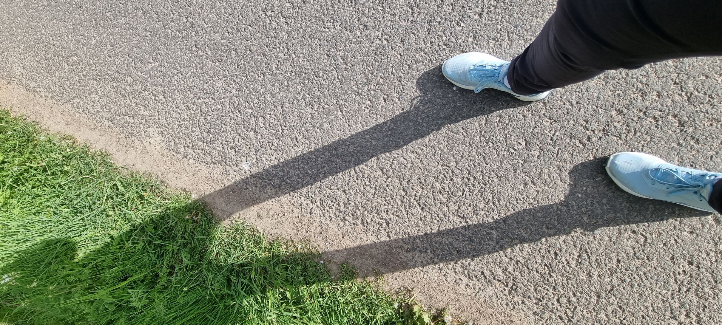 Ob kurze Hunderunde oder eine lange 10km Wanderung, der Schuh sorgt für ungetrübtes Laufvergnügen über Stock und Stein