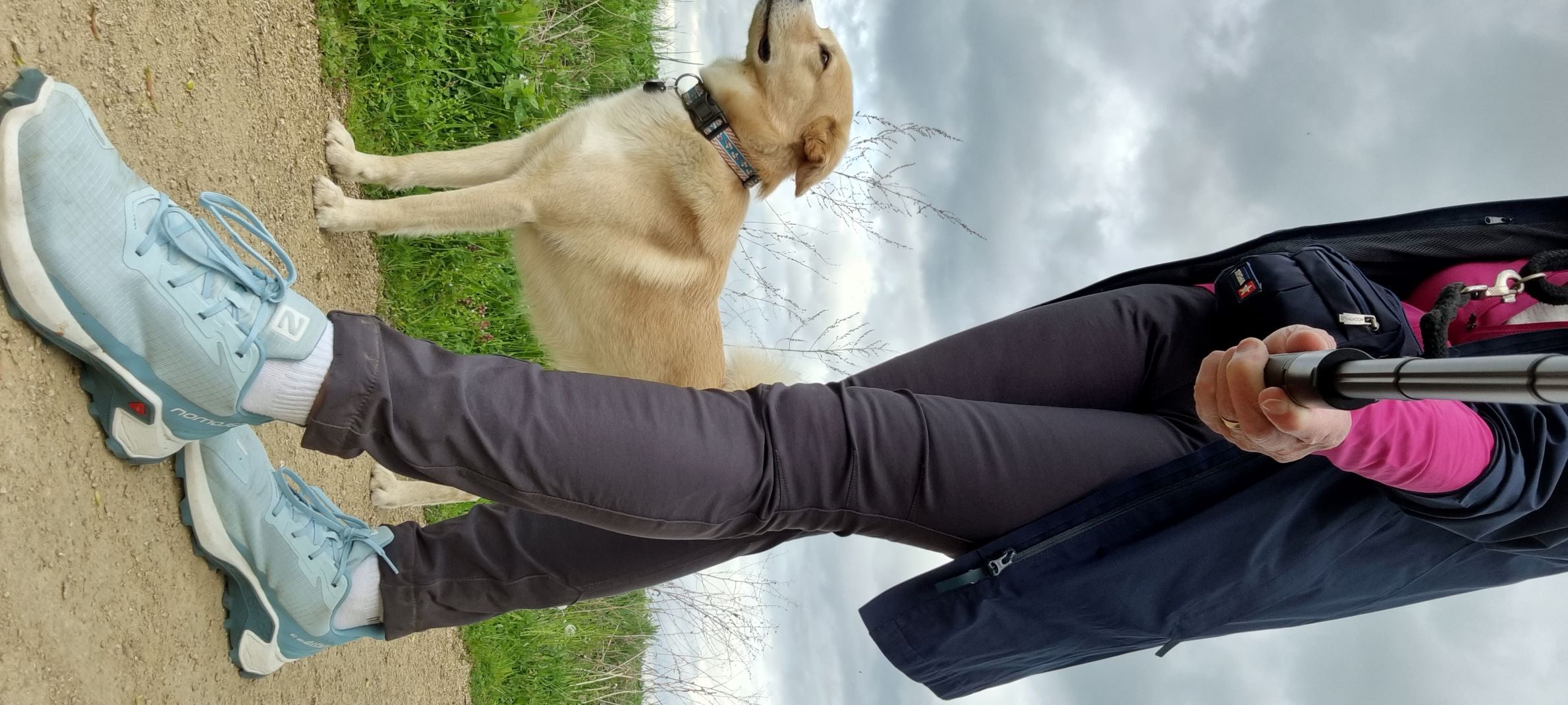 Unterwegs mit Hund
