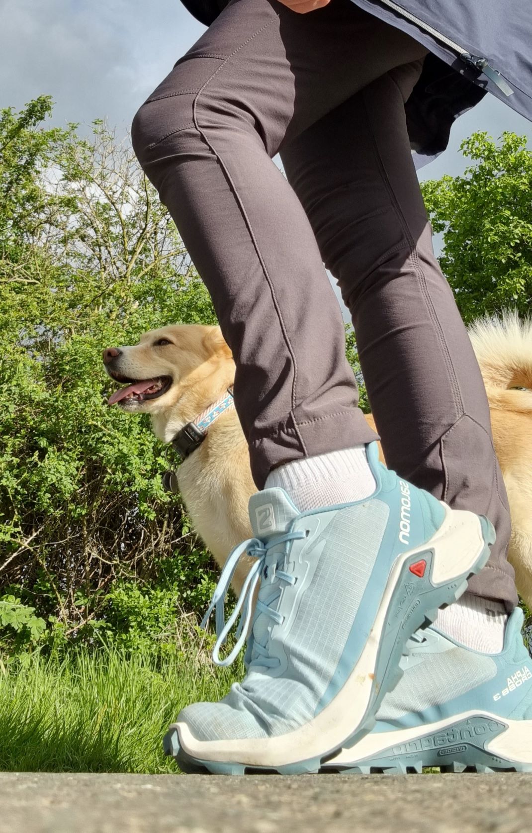Wer viel mit dem Hund unterwegs ist, braucht gute Schuhe