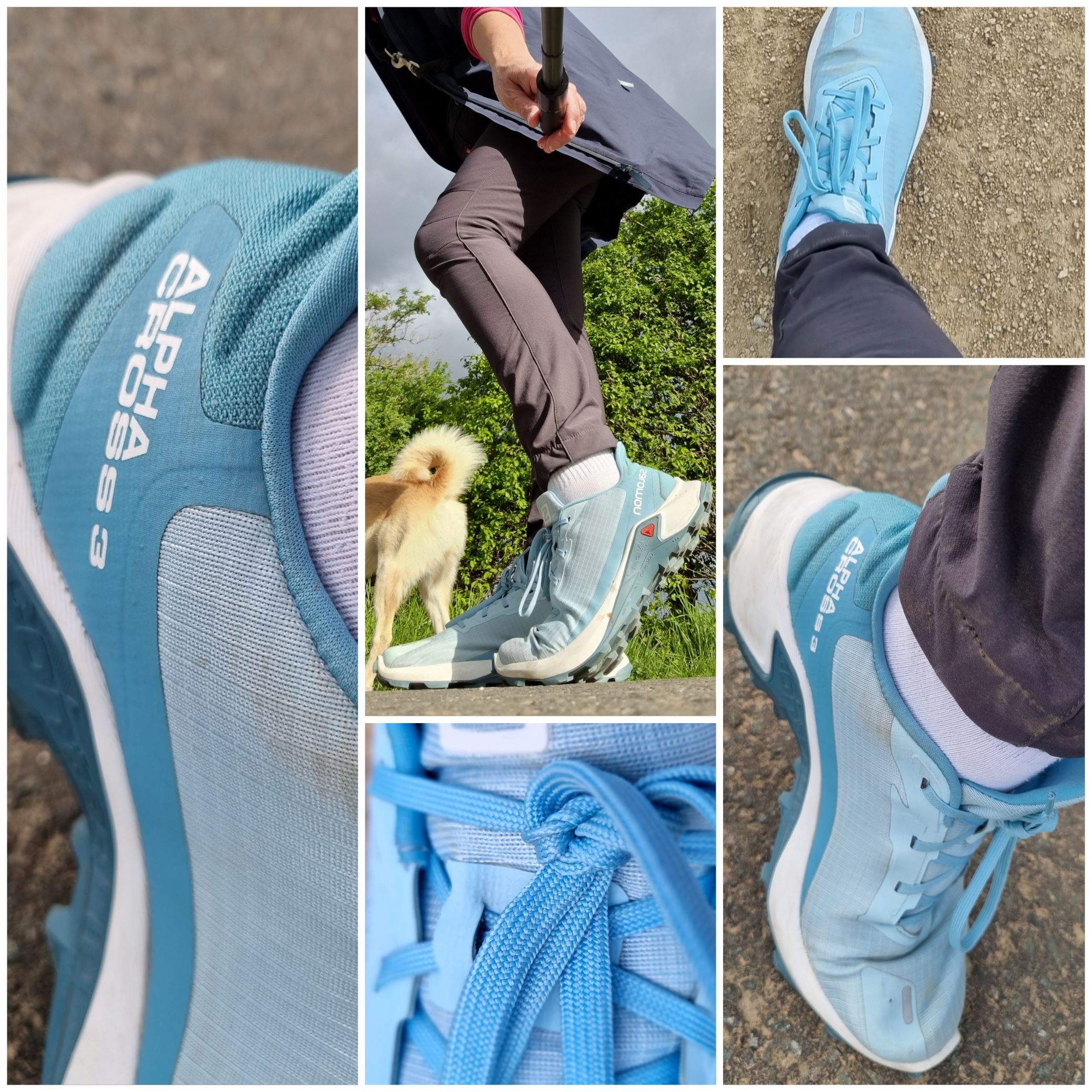 Ein moderner Trailrunning Schuh mit sehr guter Sohle