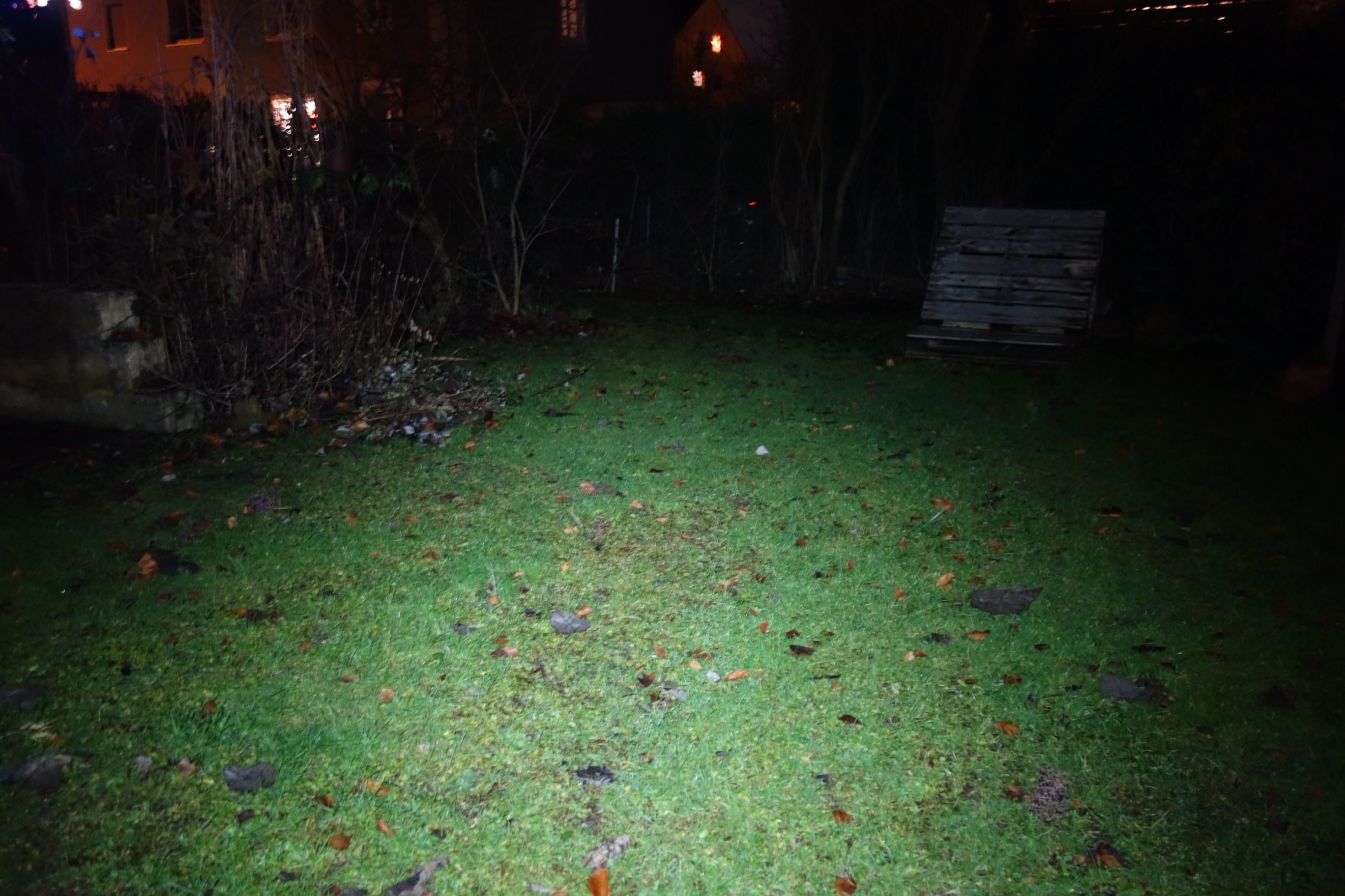 Blick in den Garten mit der Stirnlampe