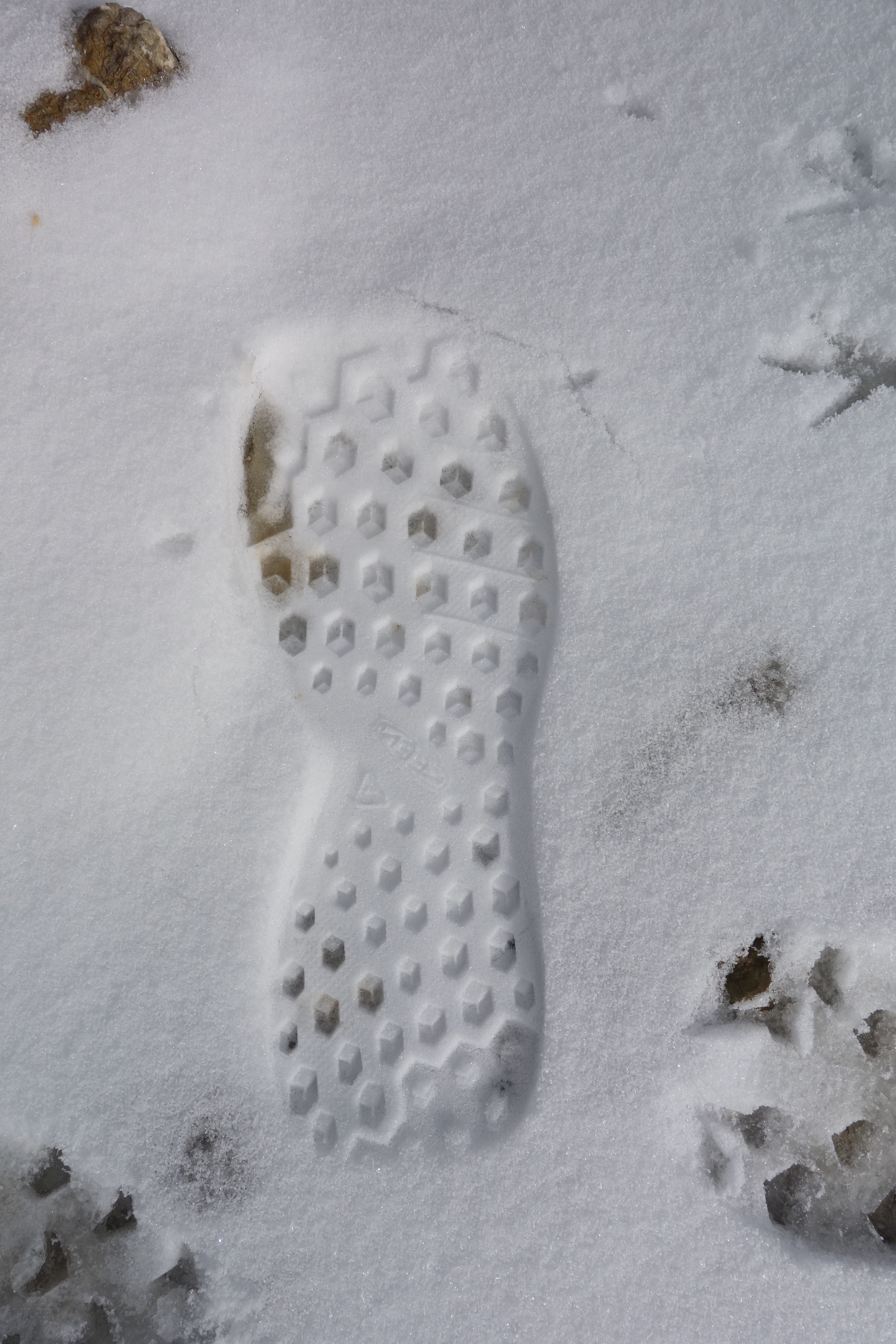 Der Sohlenabdruck im Schnee