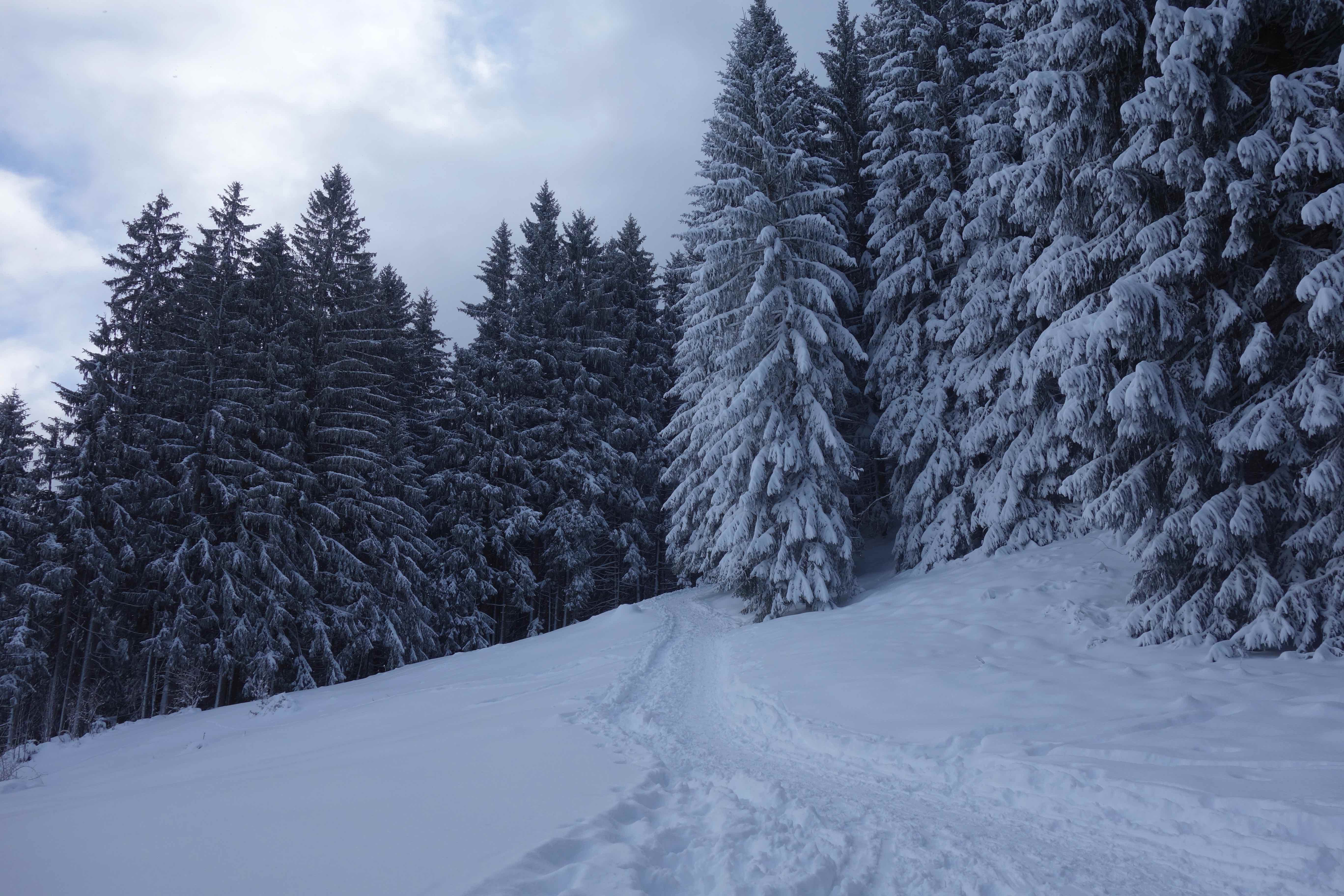 Winterwandern am Hörnle