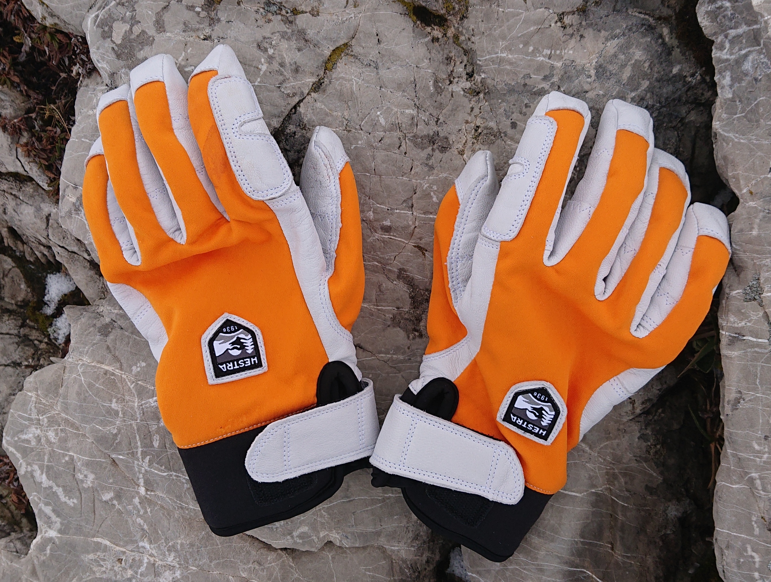 Handschuh Oberseite