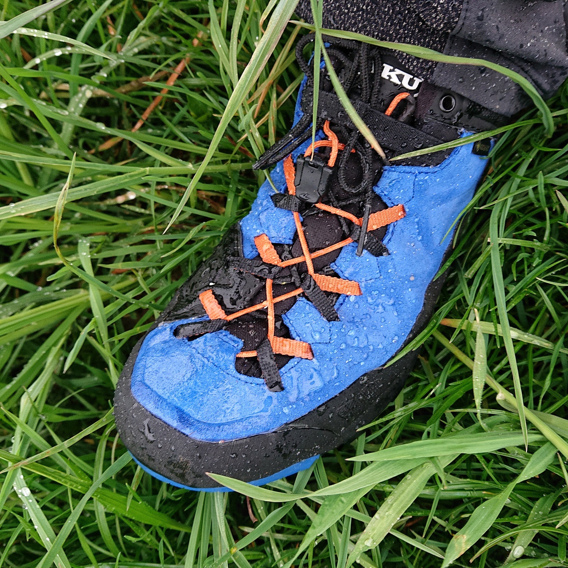 Schuh in nasser Wiese