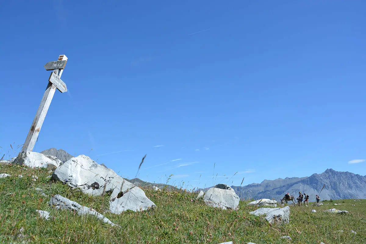 Weitwandern mit Esel -Mercantour-Südfrankreich