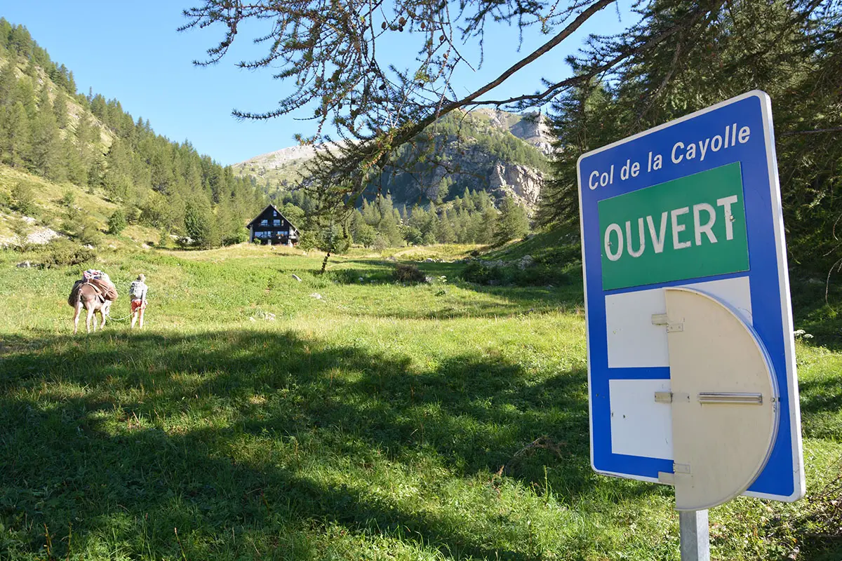 Weitwandern mit Esel -Mercantour-Südfrankreich-Esel Ouzo