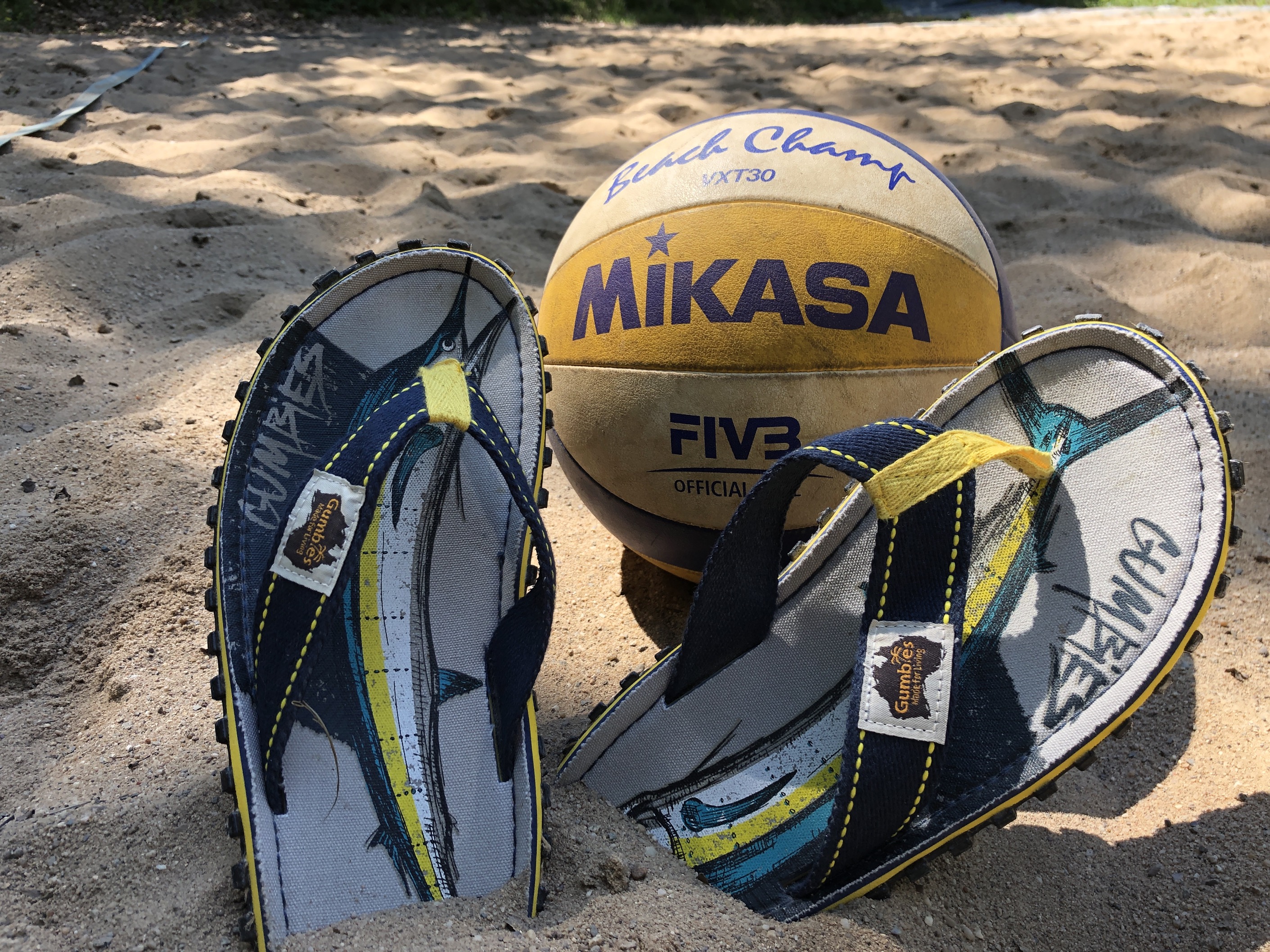 volleyball