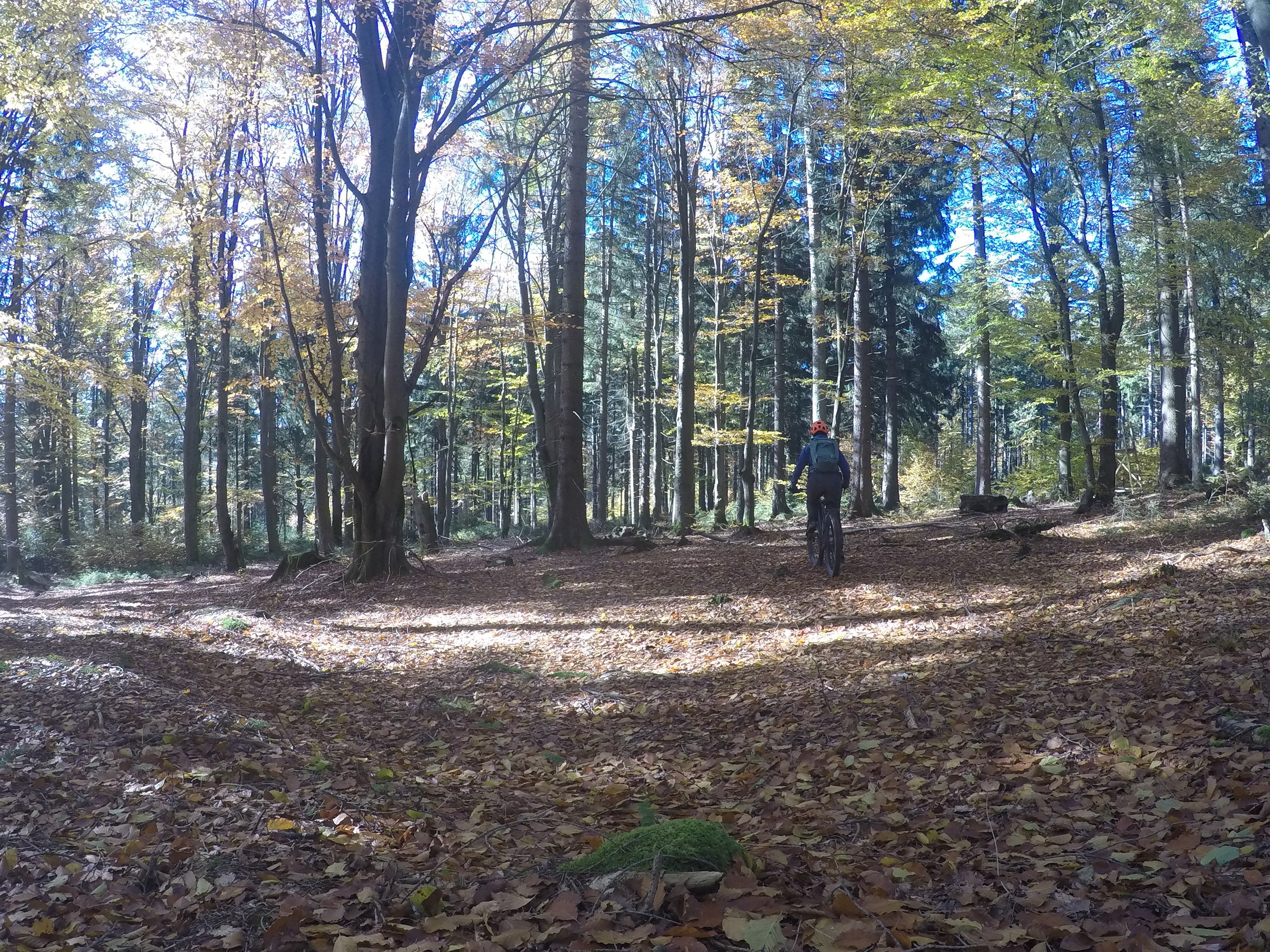 herbst