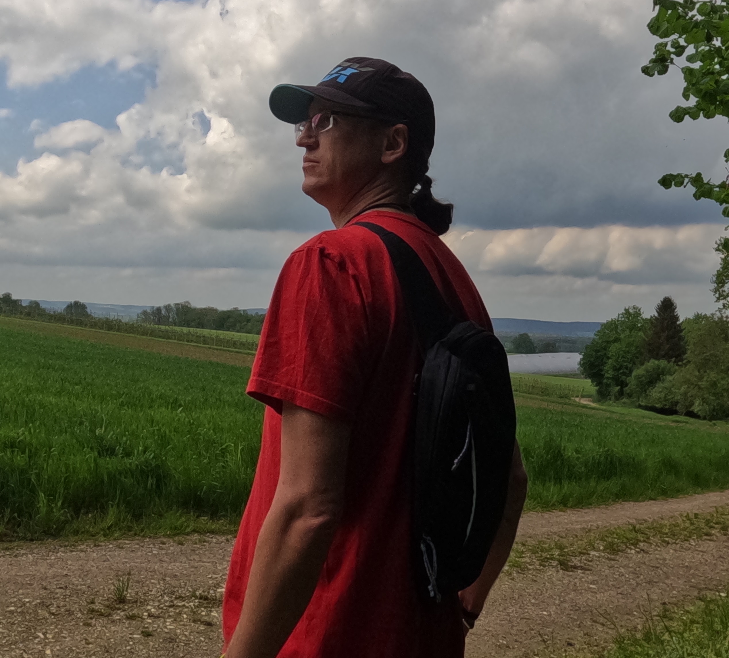 Sapling - Sling Pack