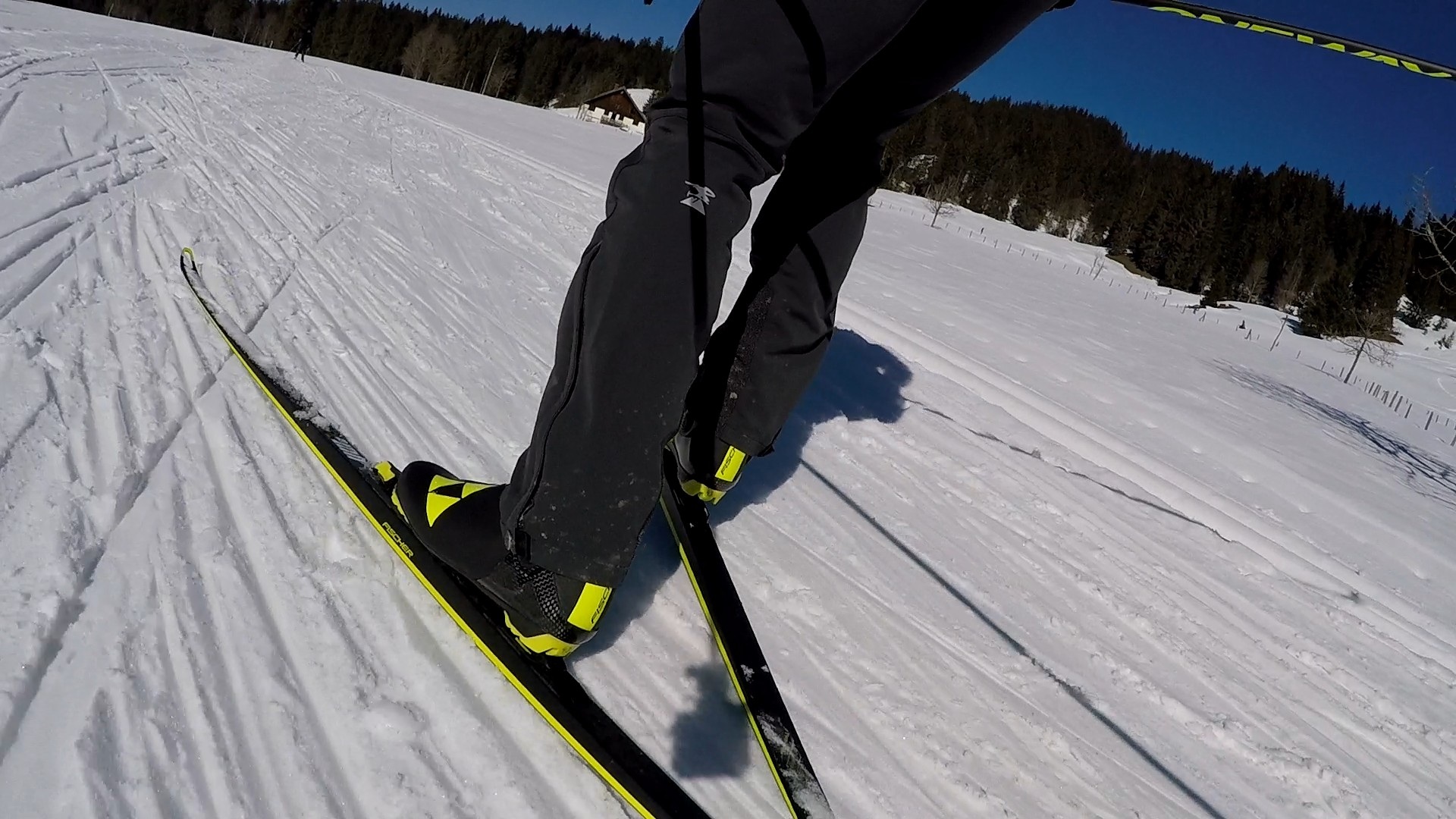 Skating Langlauf
