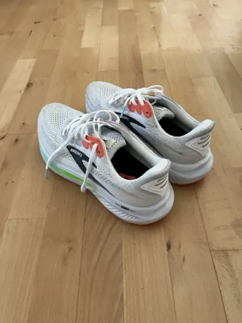 Ganz2