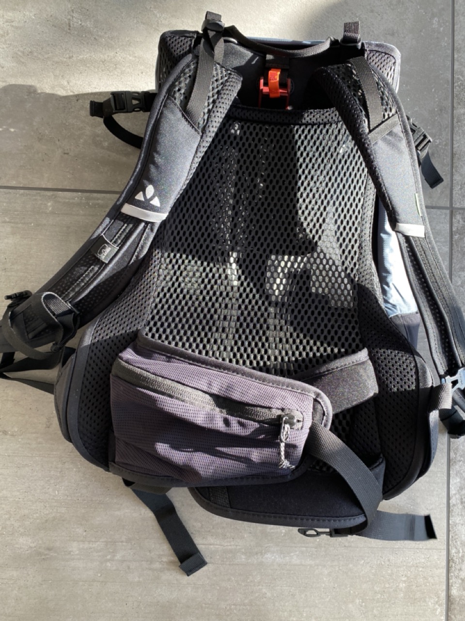 Fach