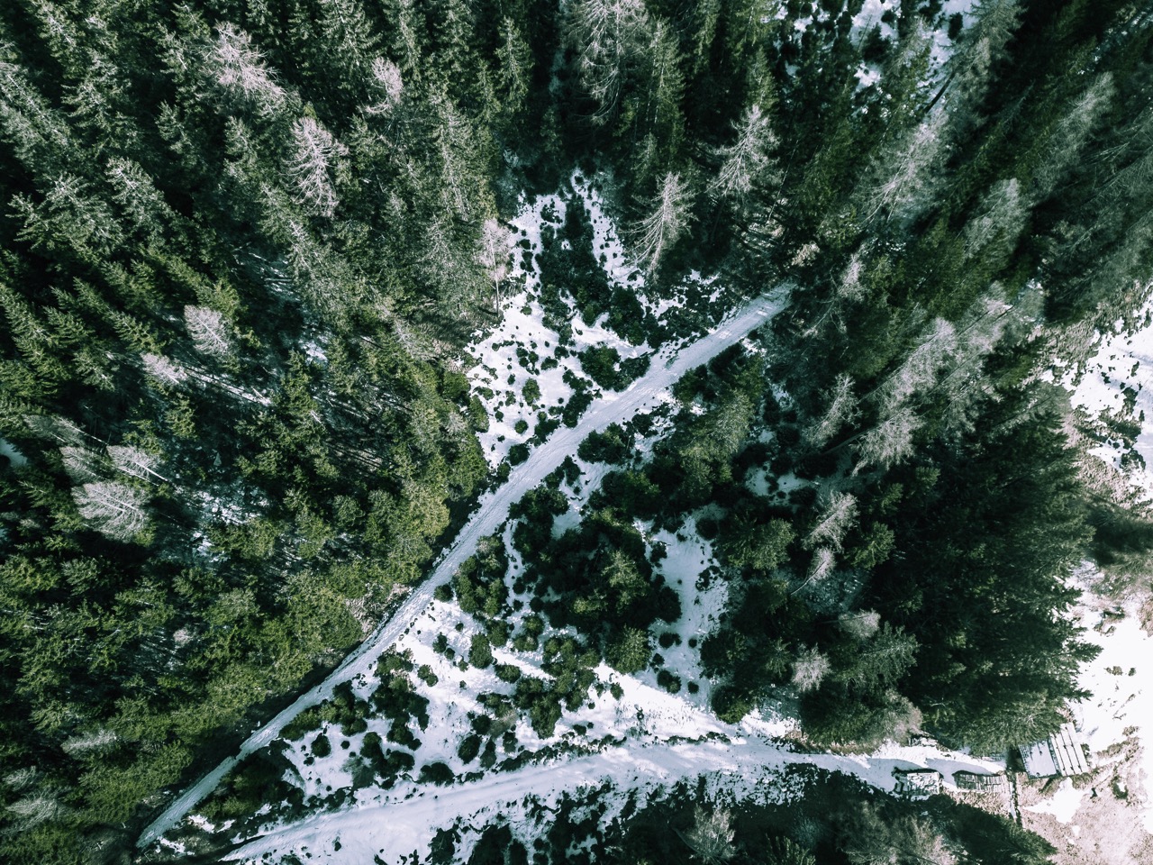 Top Down Foto im schneebedecktem Wald. Trotz recht starkem Wind war eine Verschlusszeit von 1/100s möglich und es ist ein scharfes Bild entstanden.