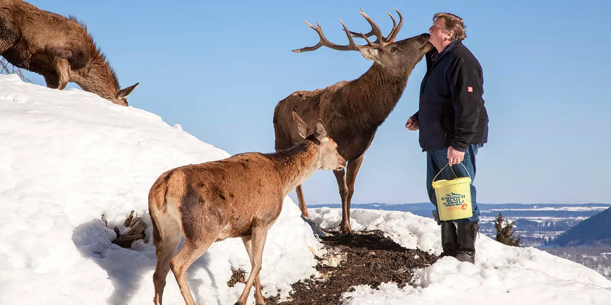 Winterwandern Lenggries - Winteraktivitäten rund um Lenggries