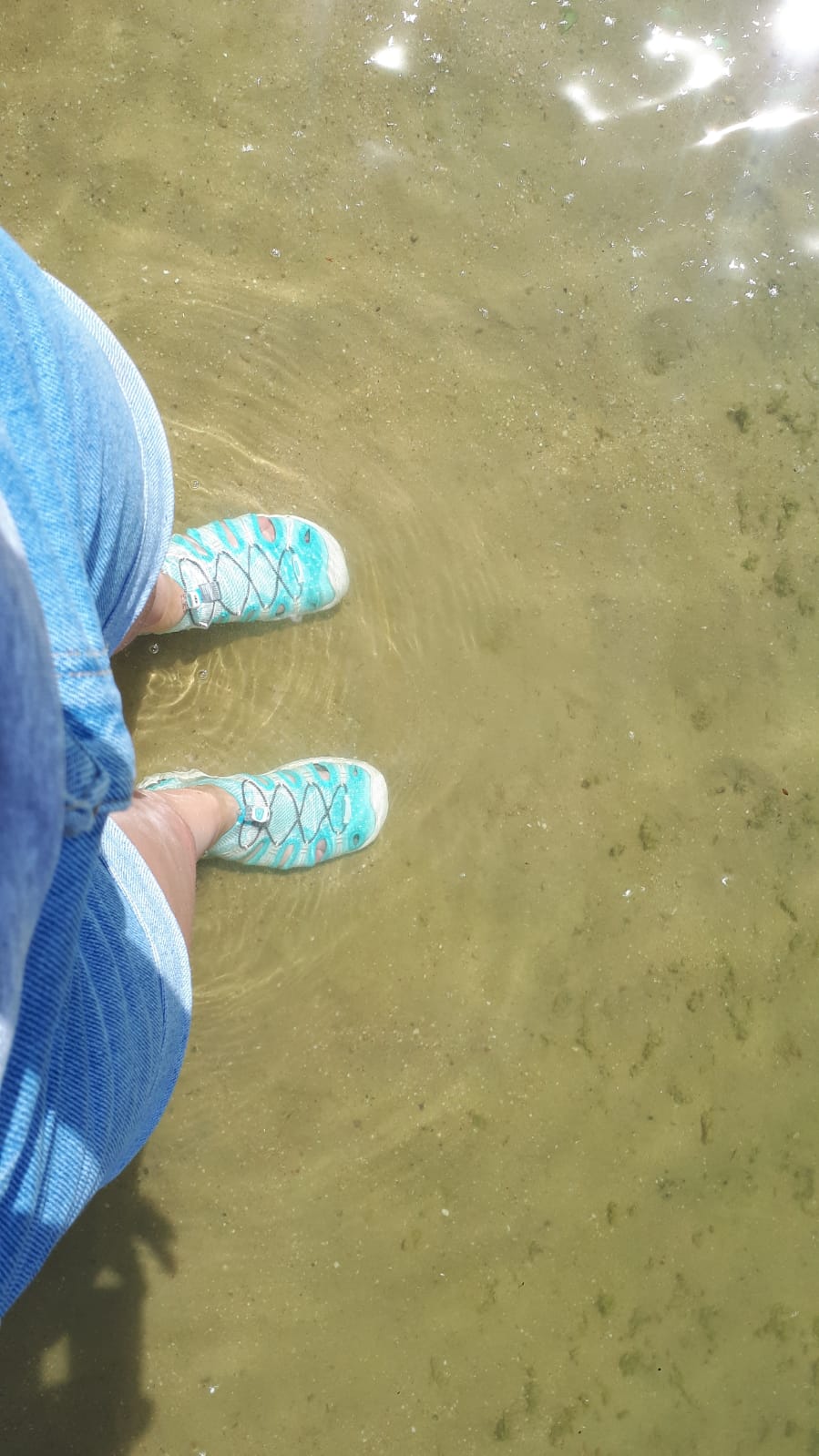 Im Wasser
