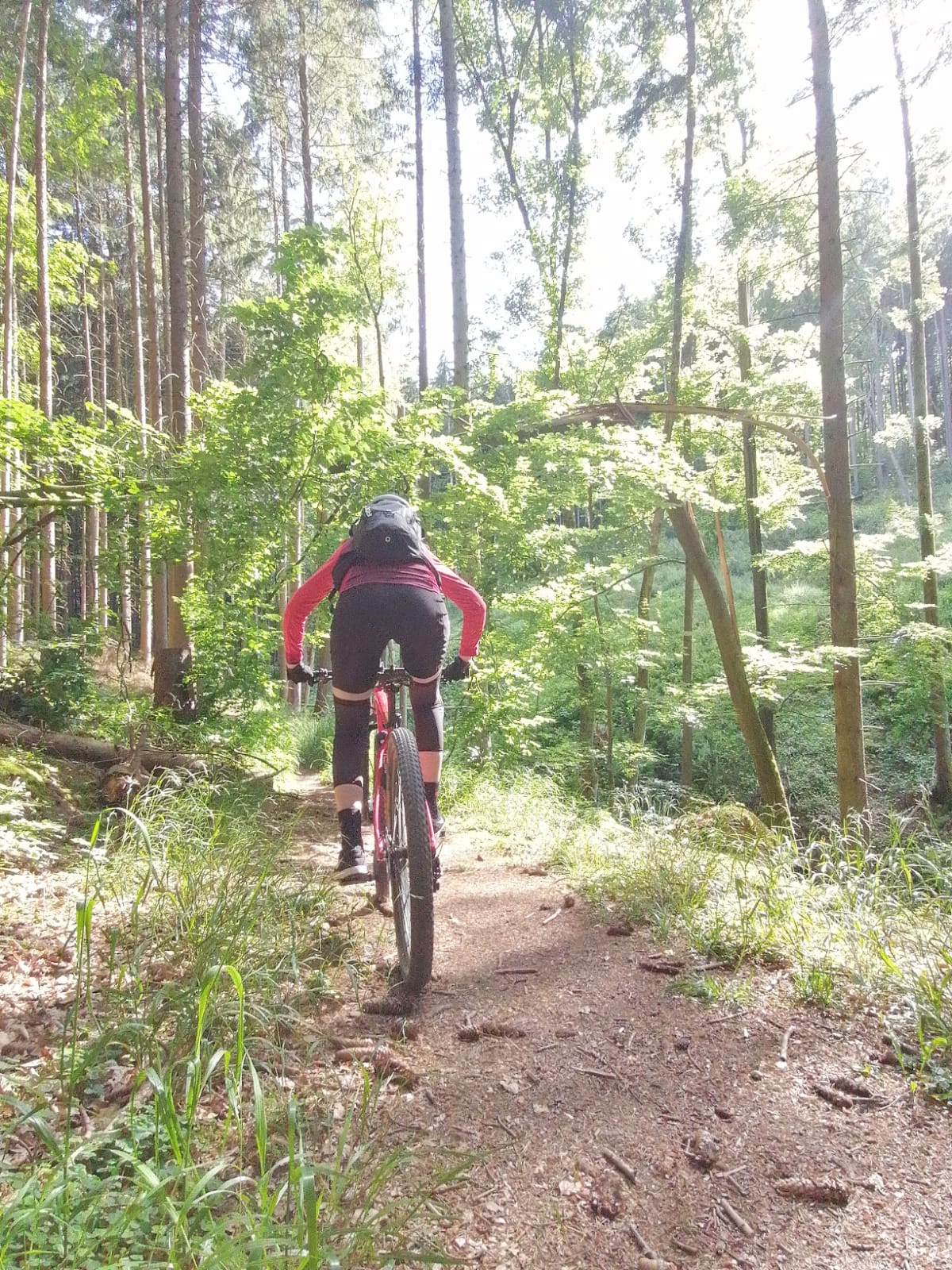 FOX Enduro Pro