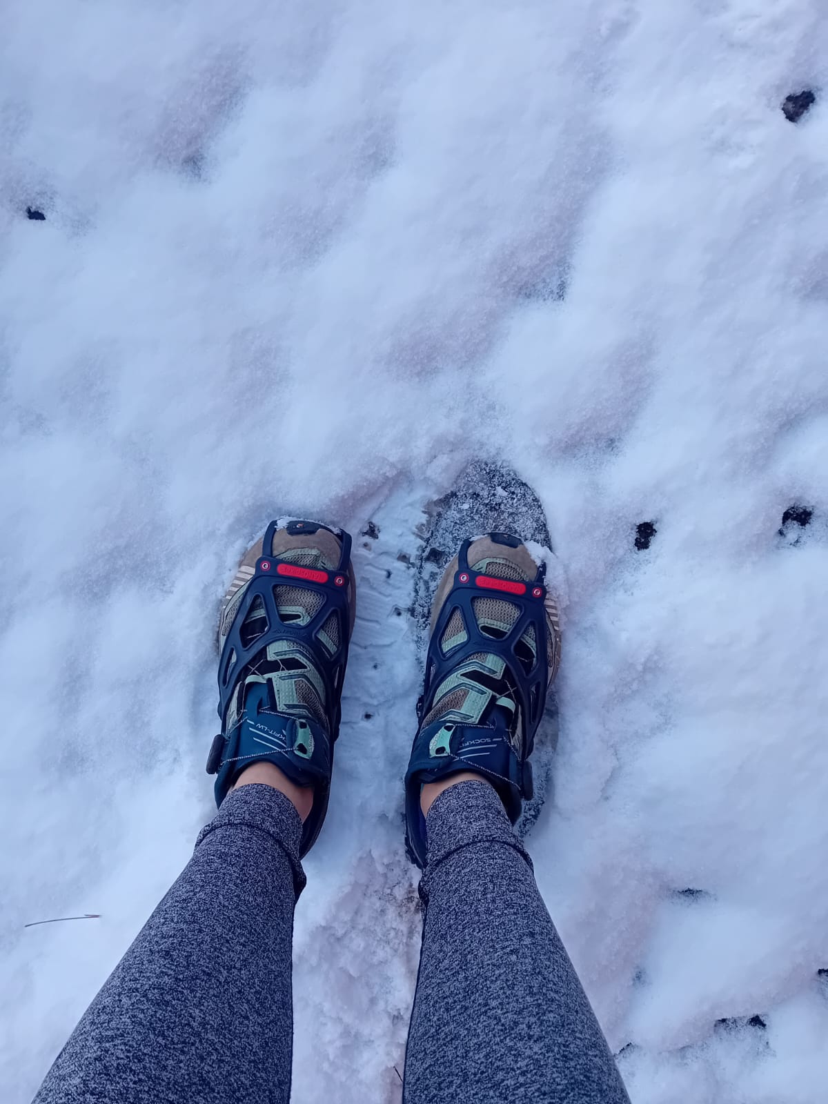 Spikes von oben