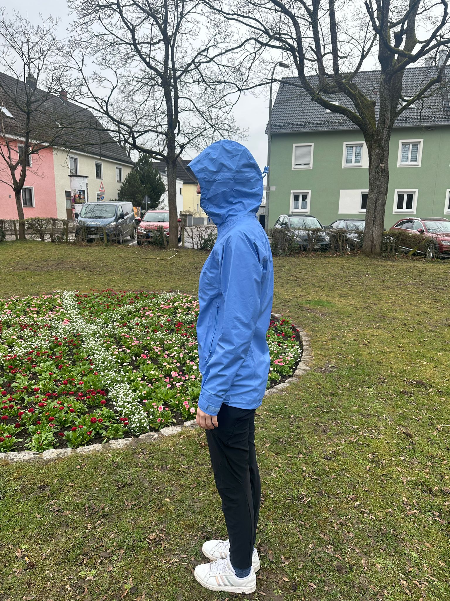 Montane