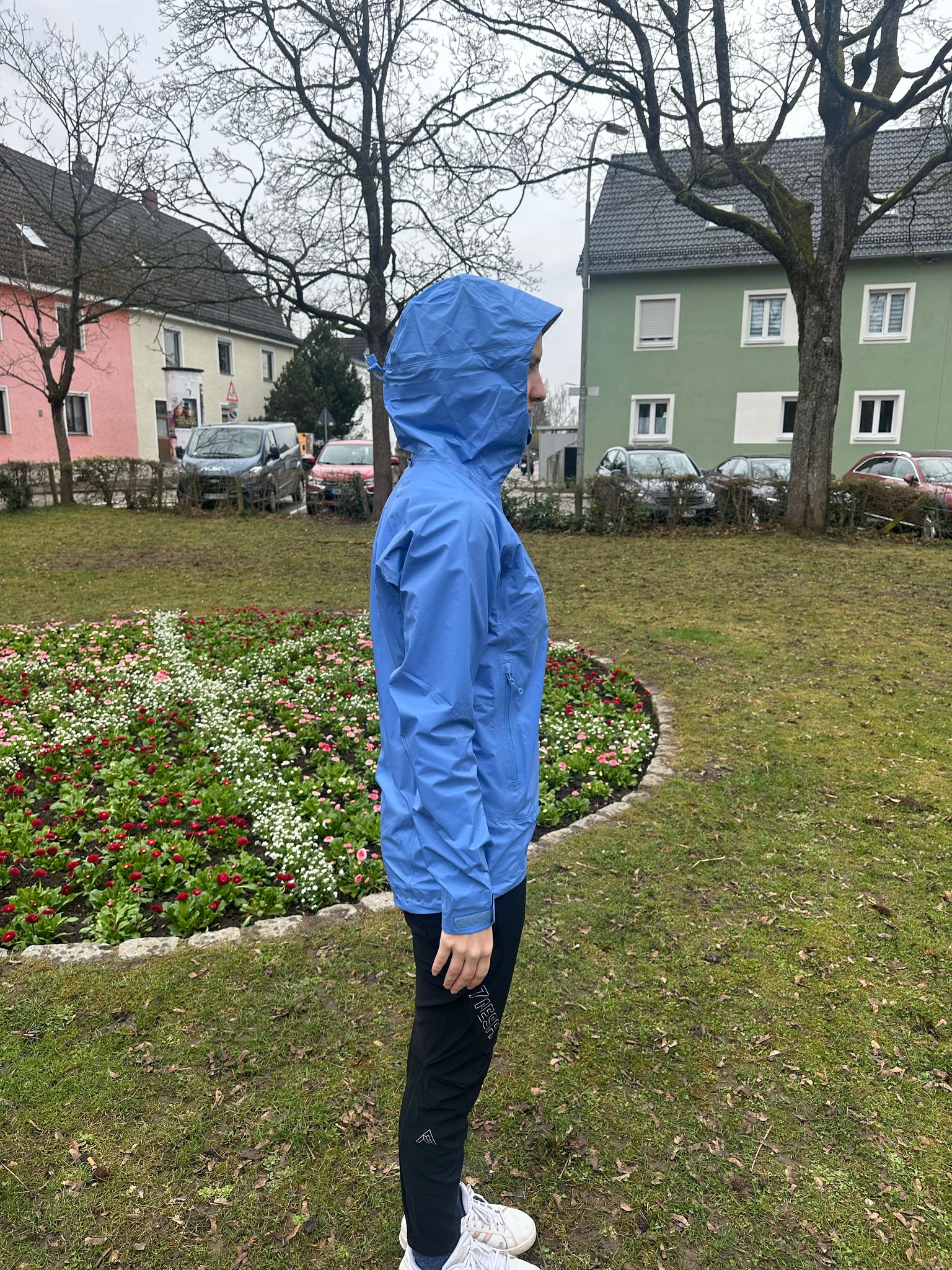 Montane