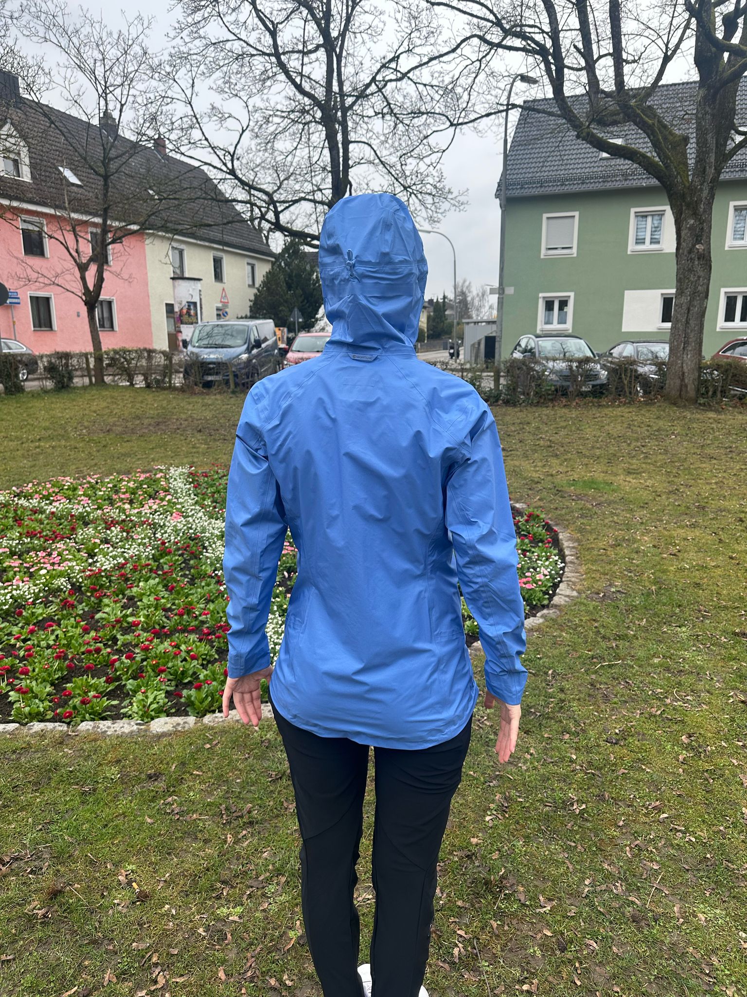Montane