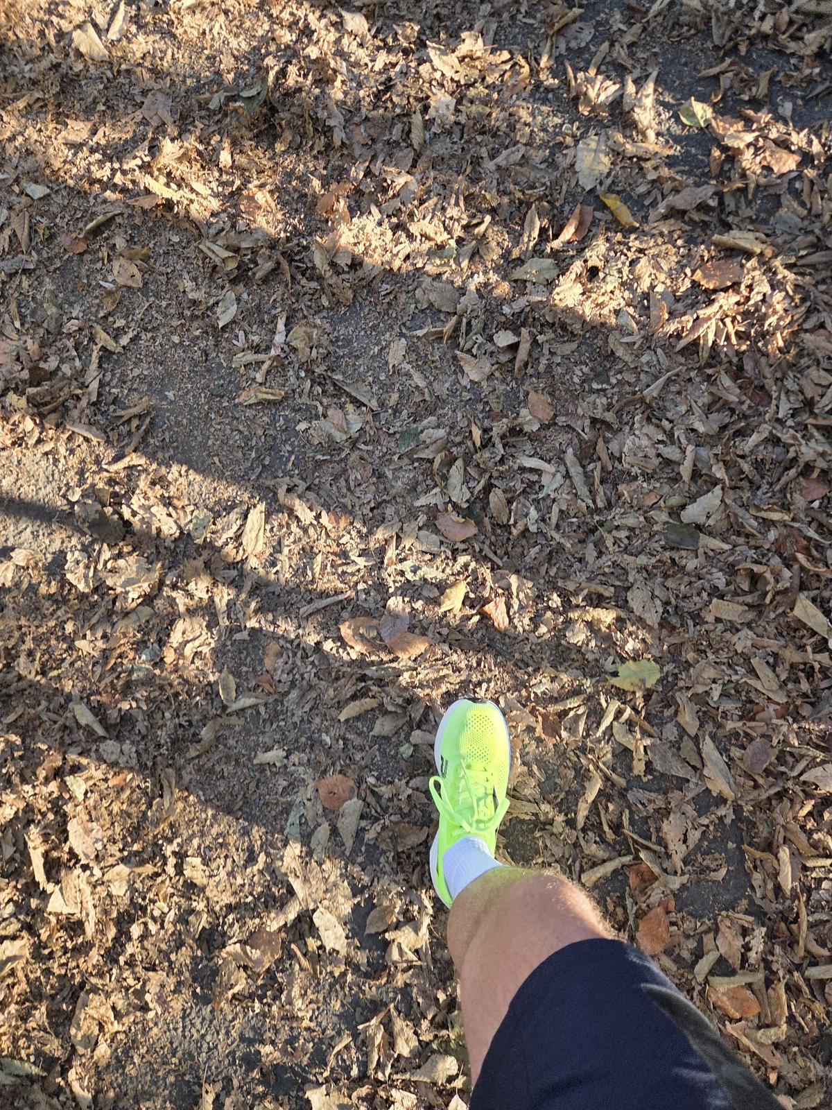 Der OUTSIDEstories-Test: JOMA R1000 - Laufschuhe, Herren