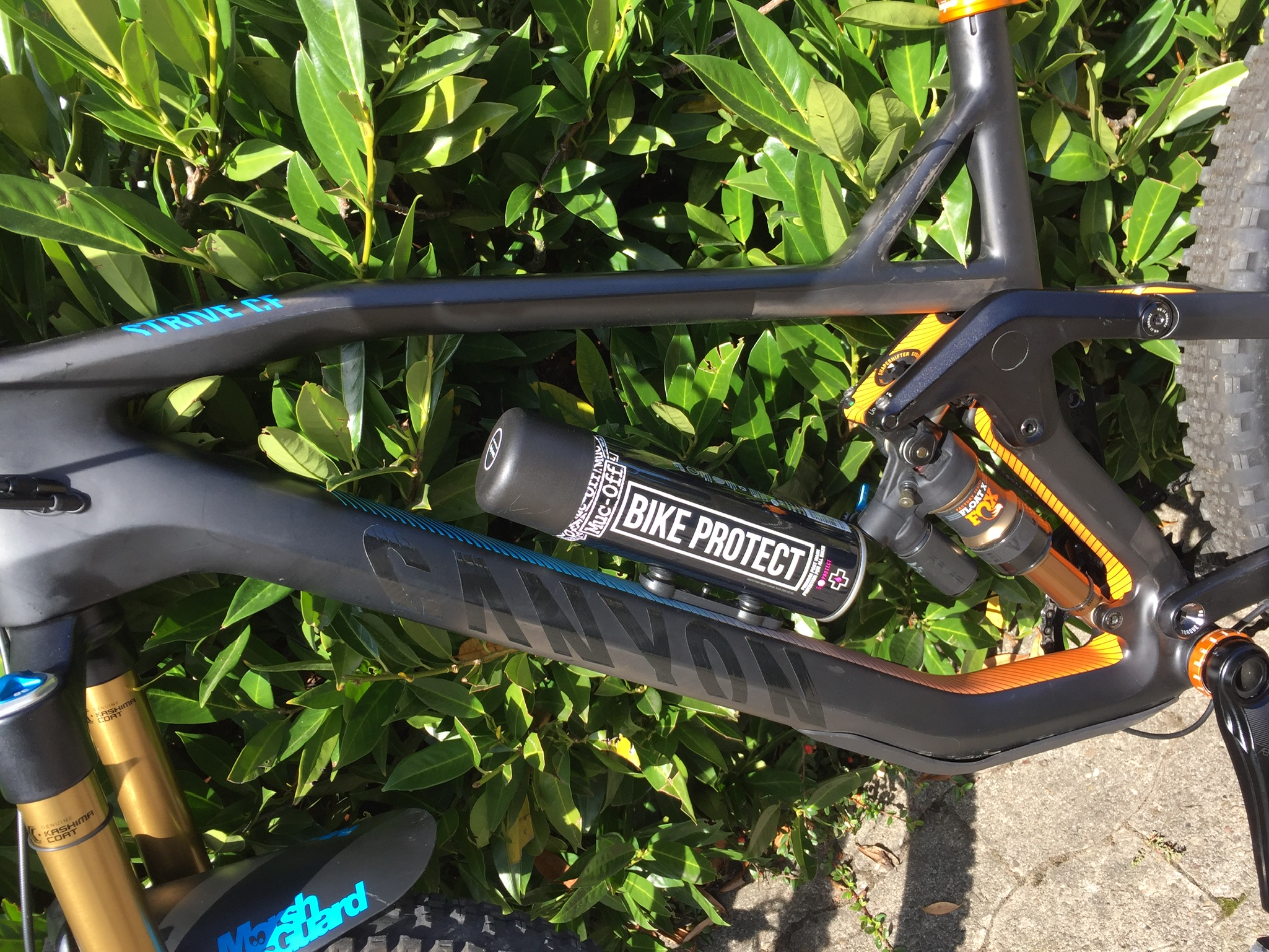 Flaschenhalter mit BikeProtect