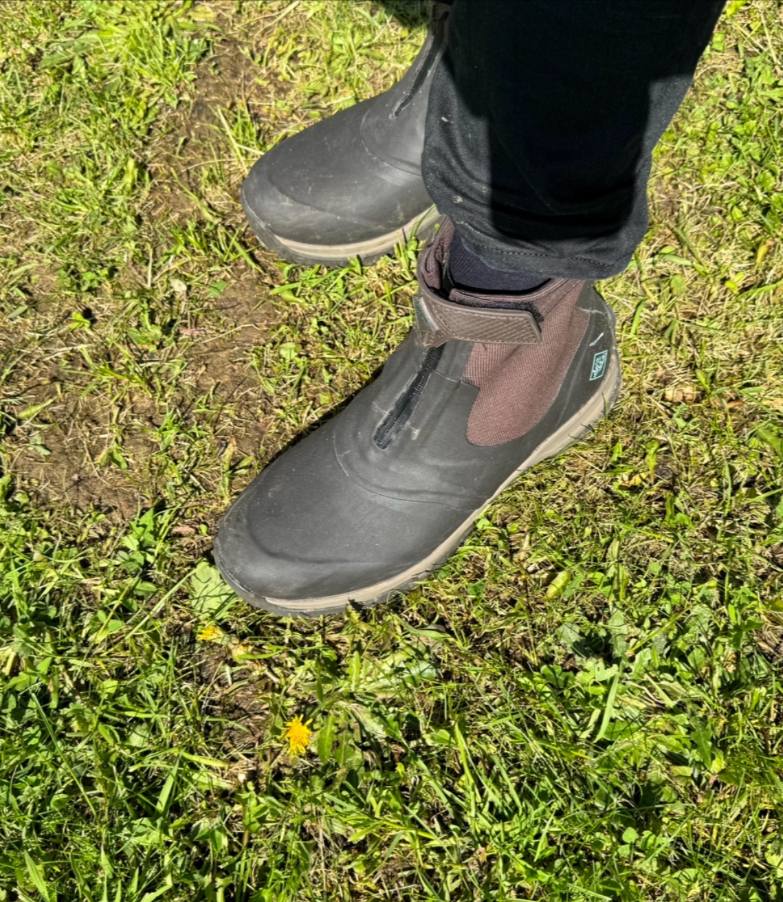 Apex im Einsatz