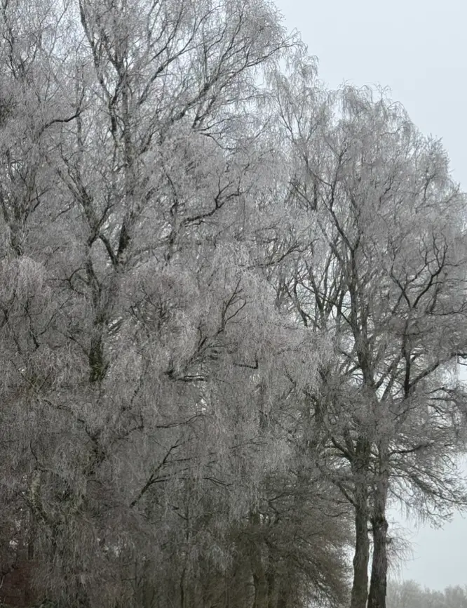 Wanderung bei Frost
