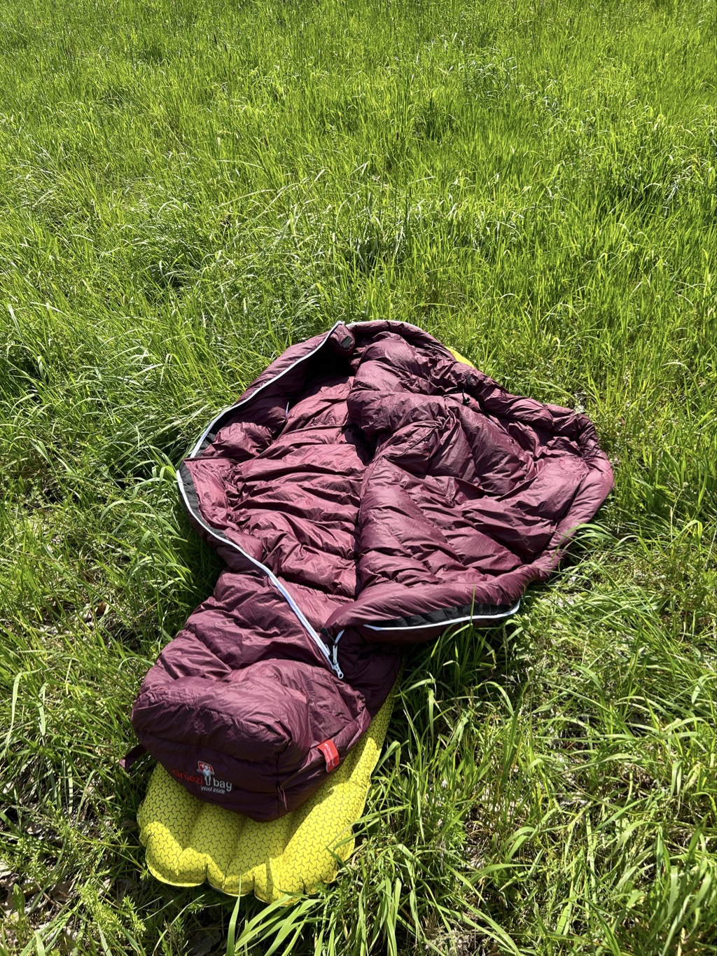 F