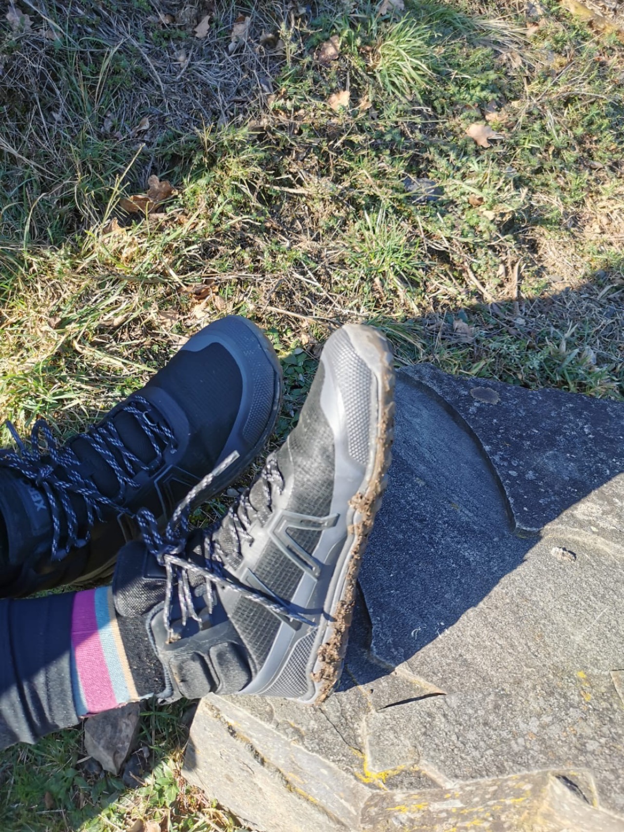 W