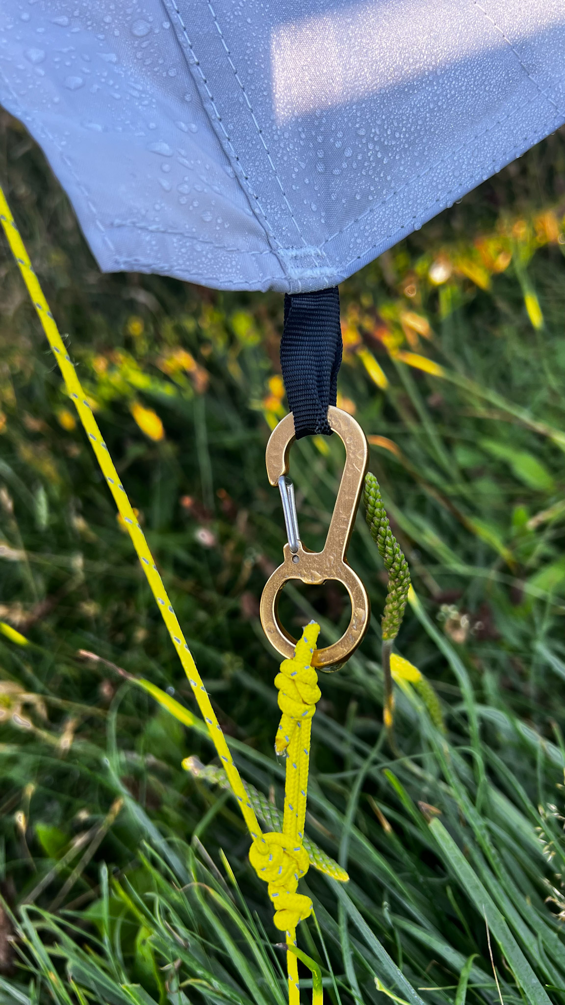 Karabiner der Türen