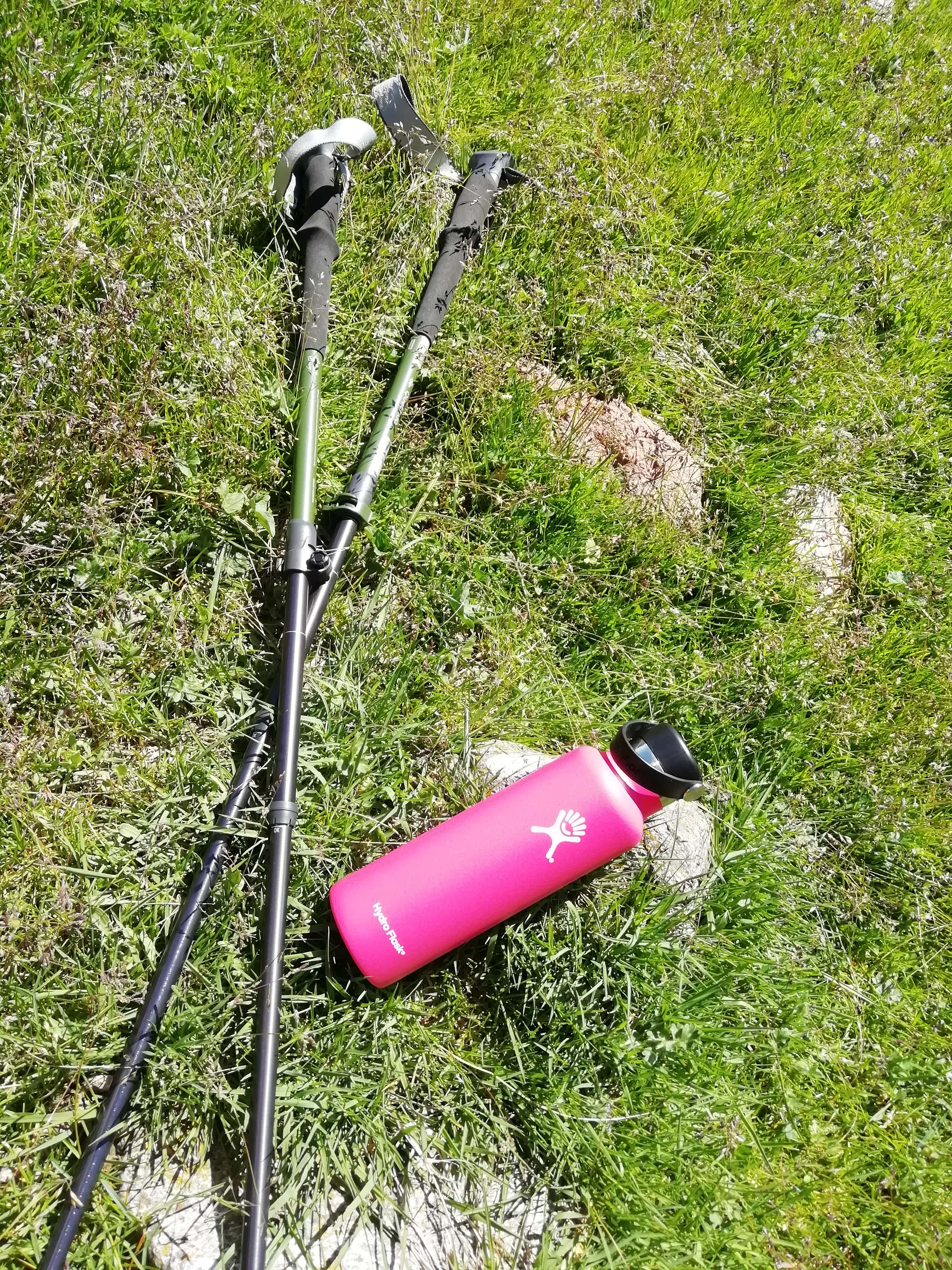 in der wiese
