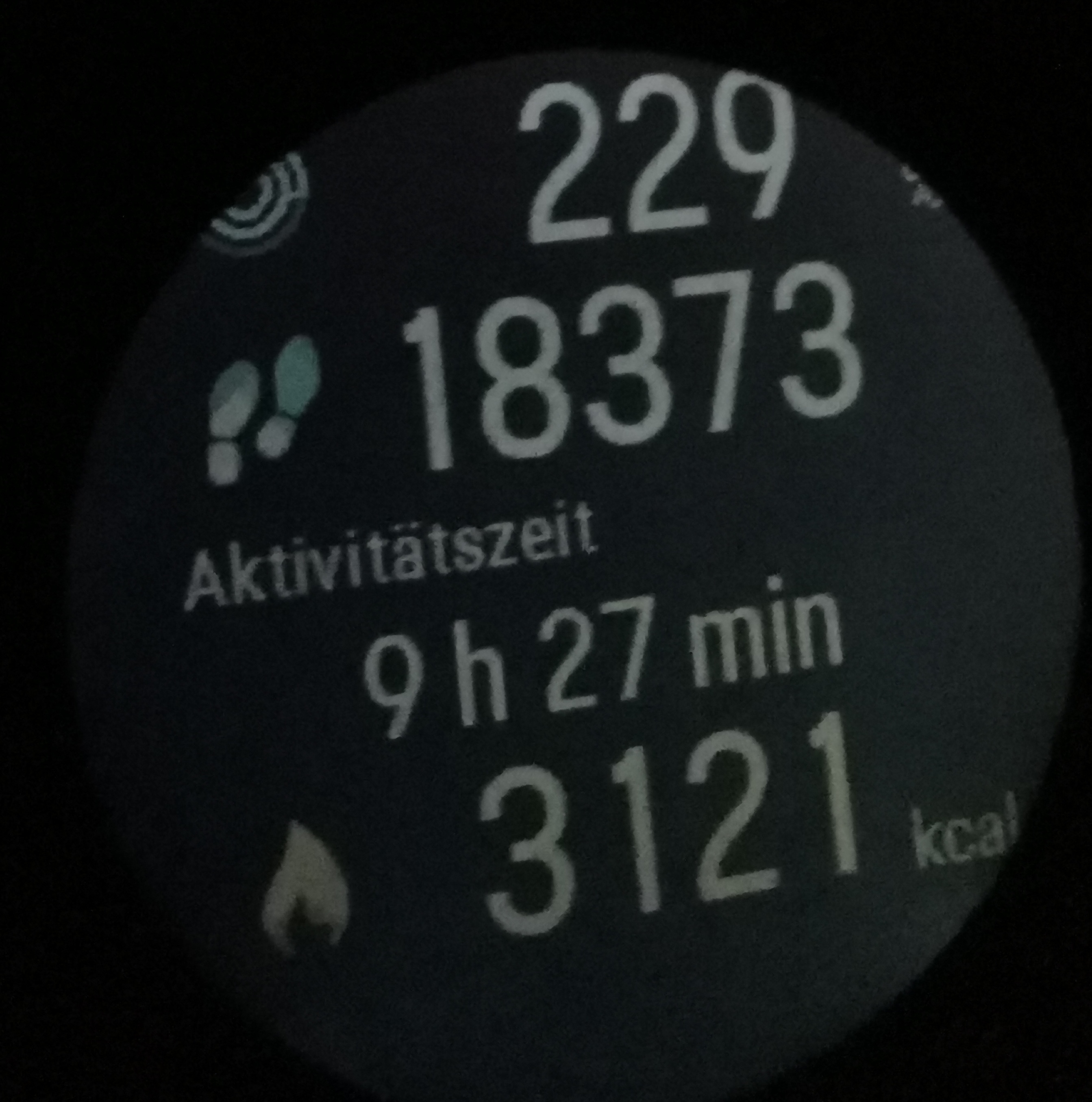 Tagesaktivität