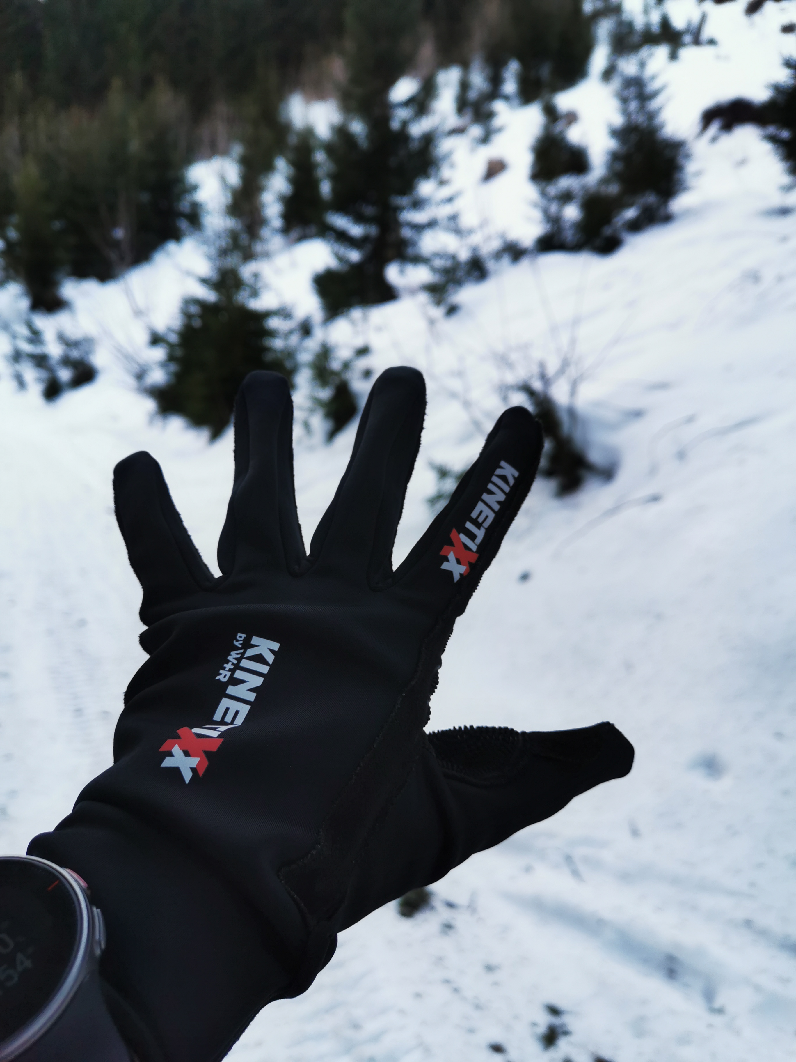 Schneeschuhwandern
