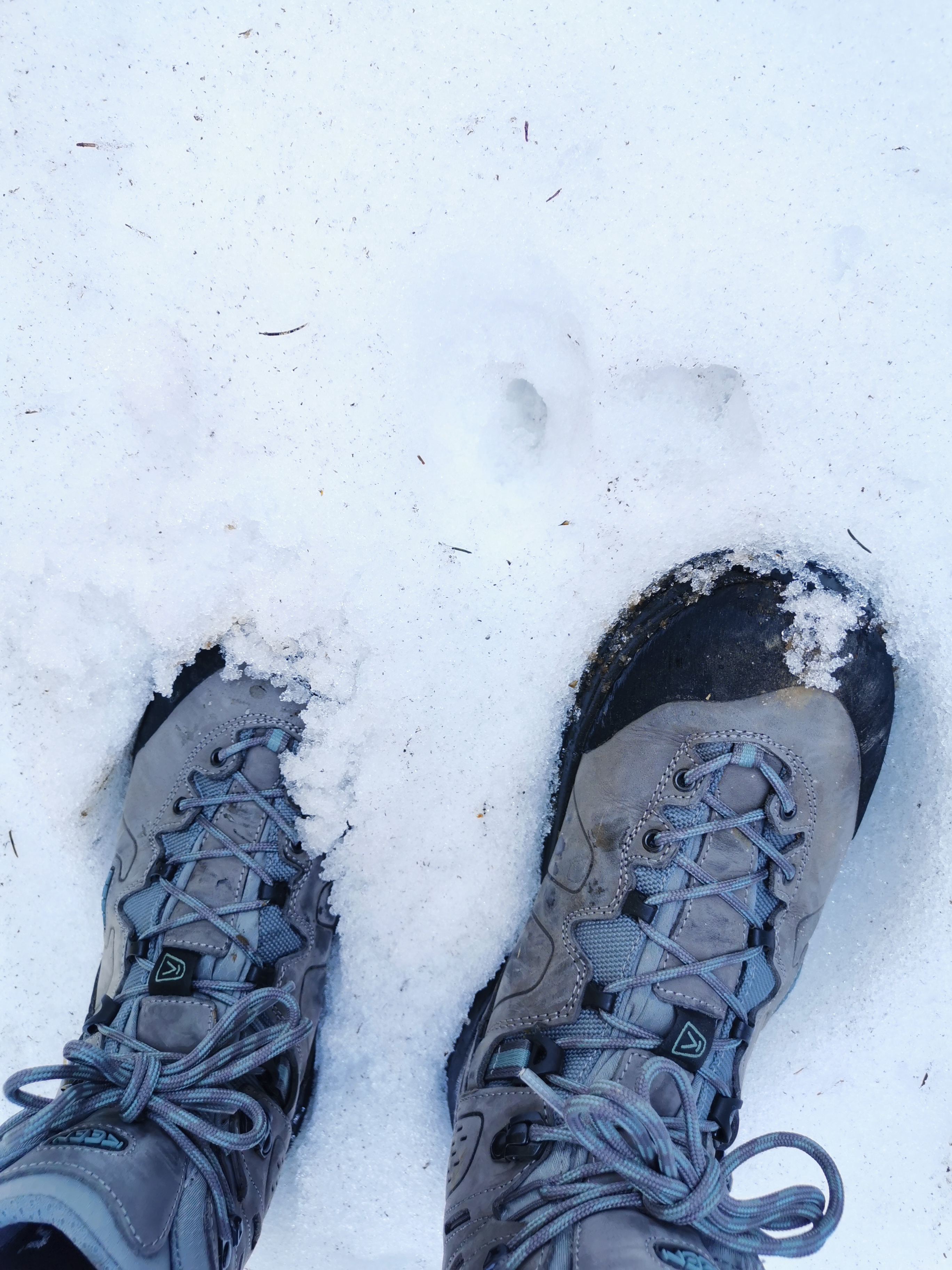 Schnee