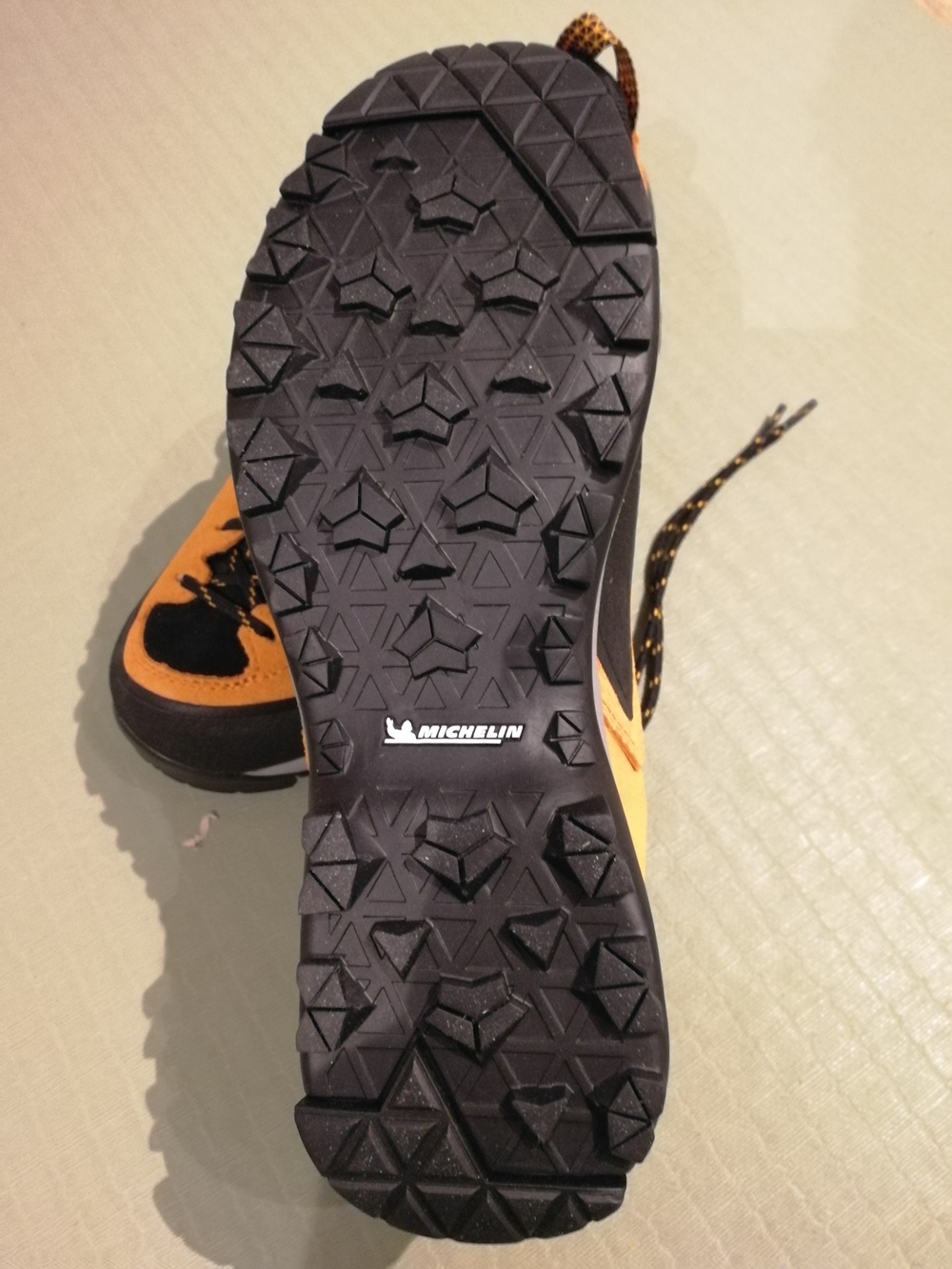 Dragontail_01