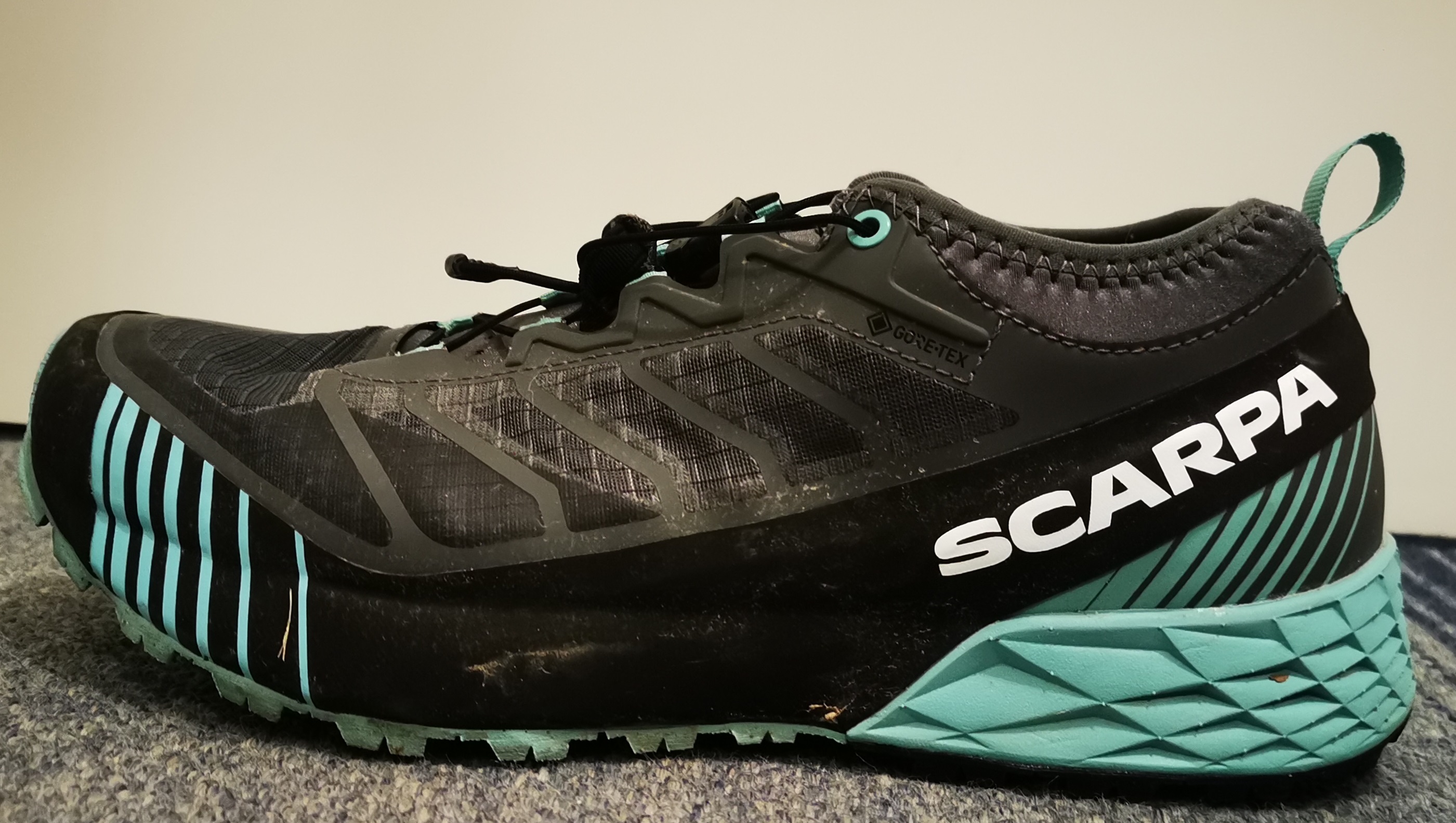 Ribelle Run GTX