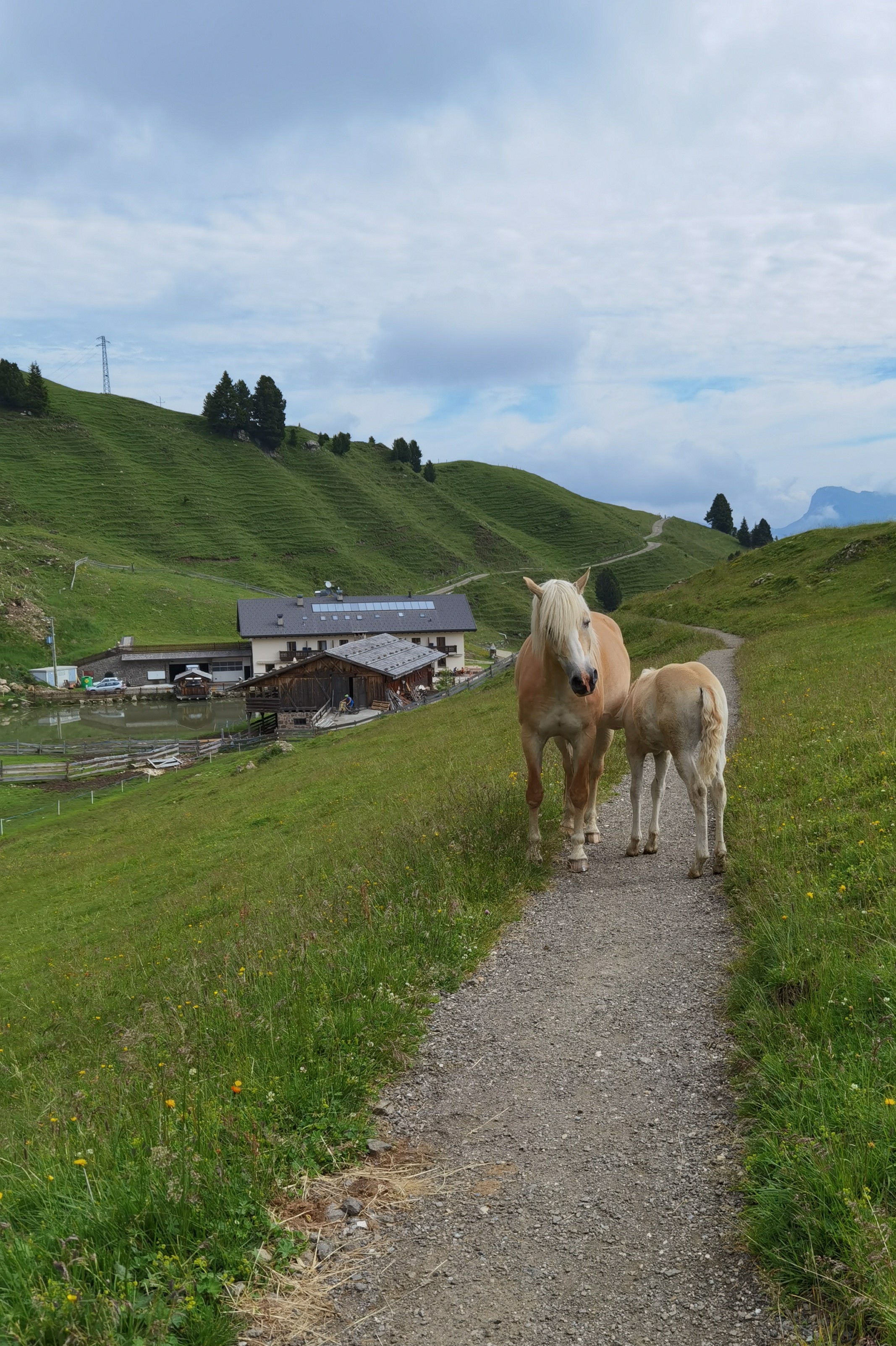 Mahlknechthütte